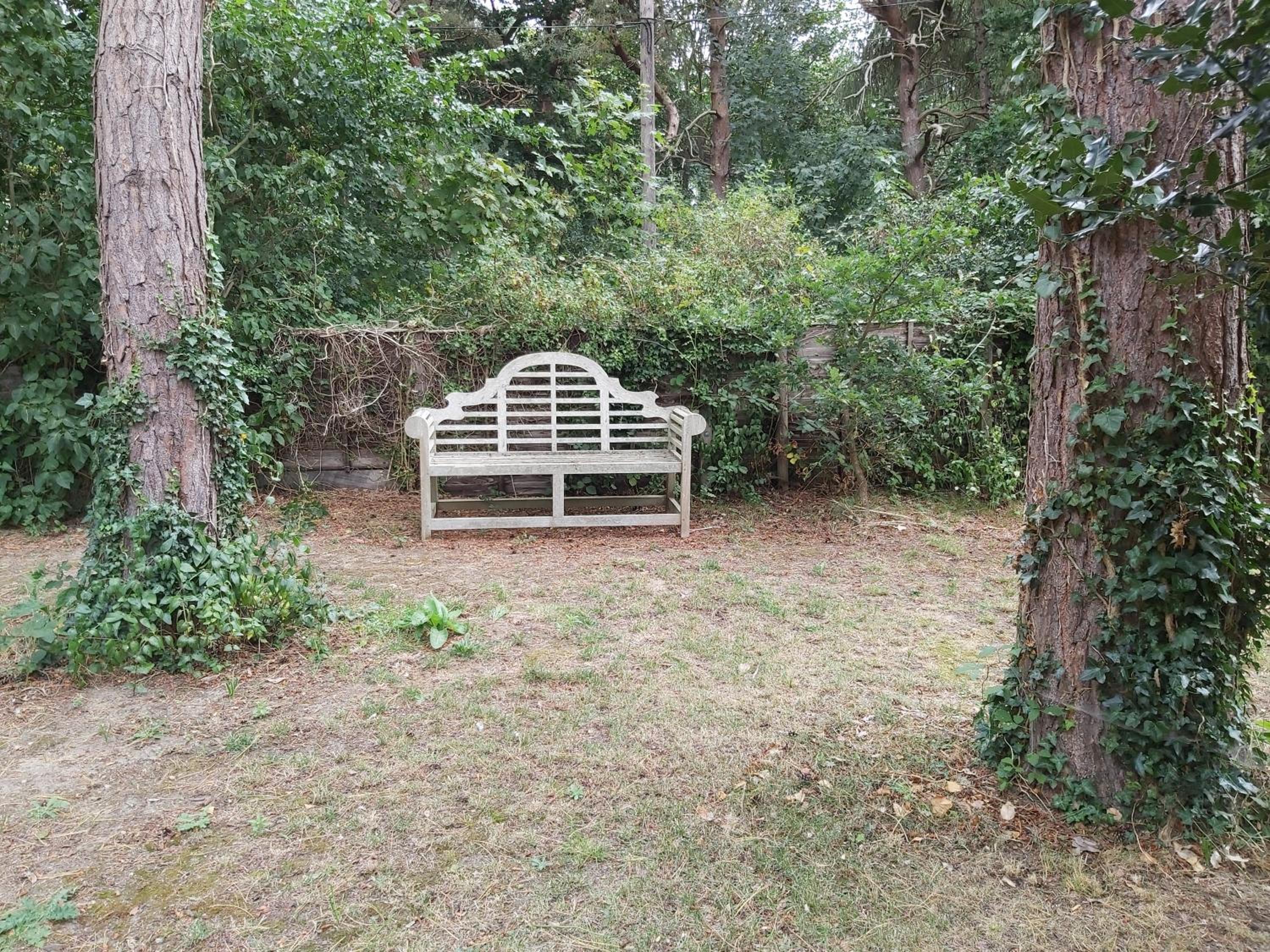 Photo 20