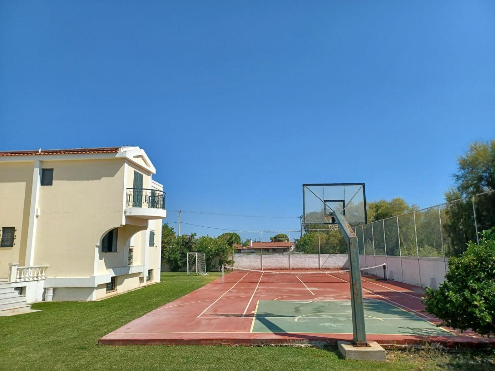 Photo 12
