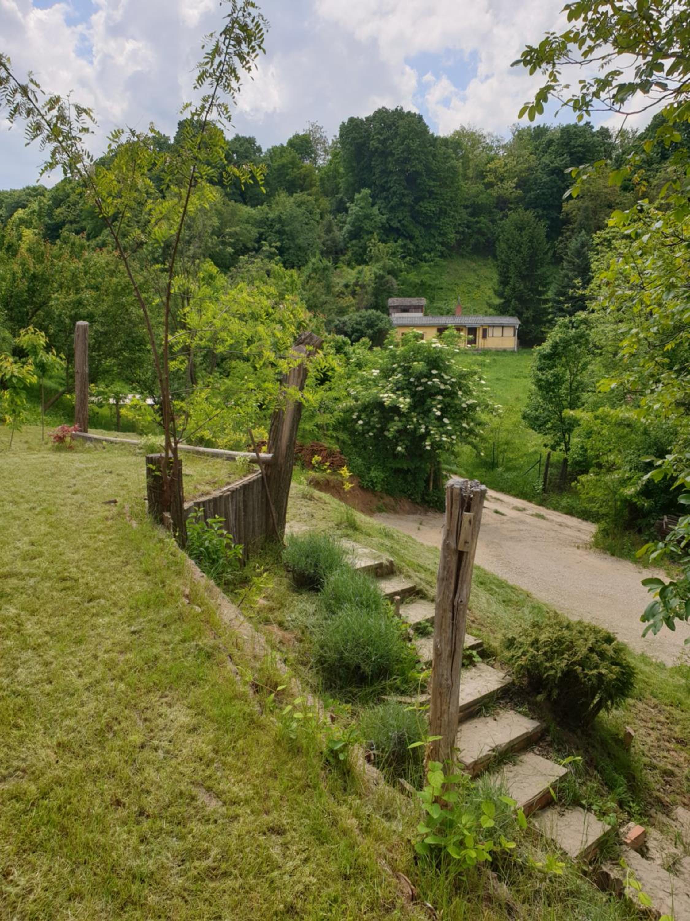 Miris lavande view 5