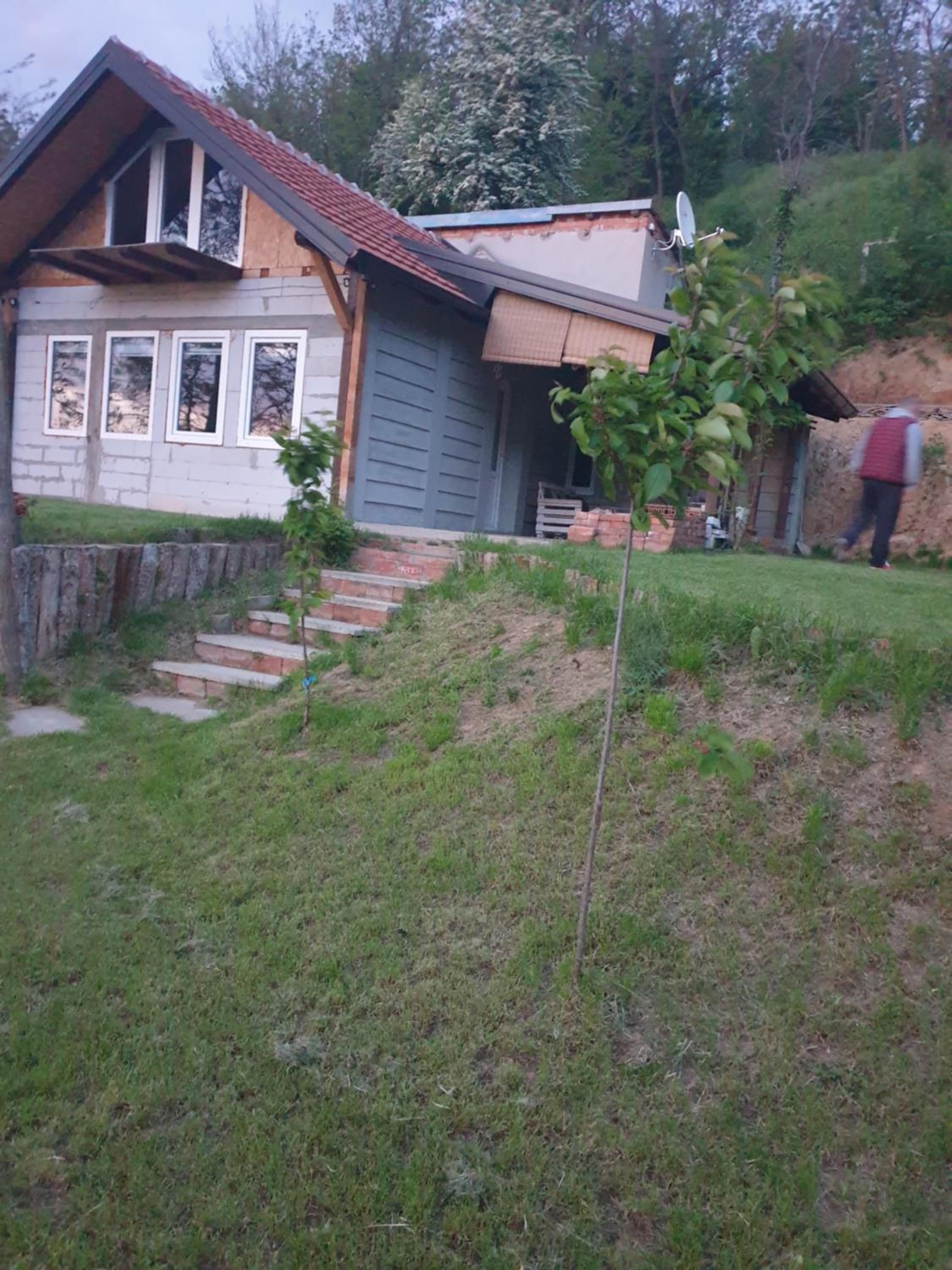 Photo 6