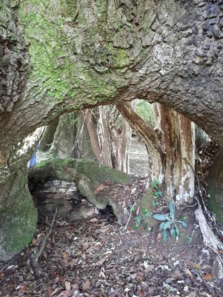 Pousada Fazenda das Bicas