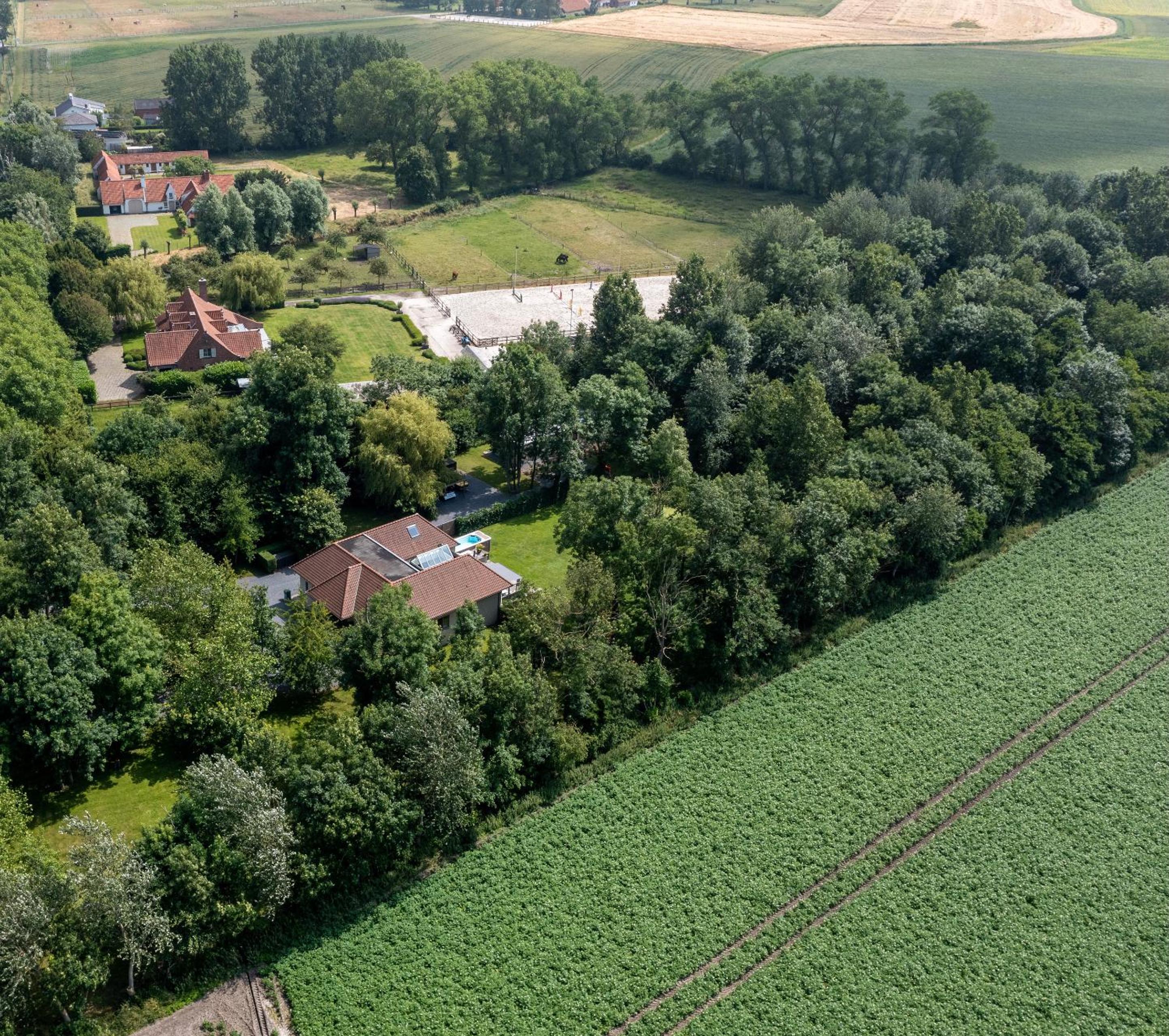 De Rietreiger