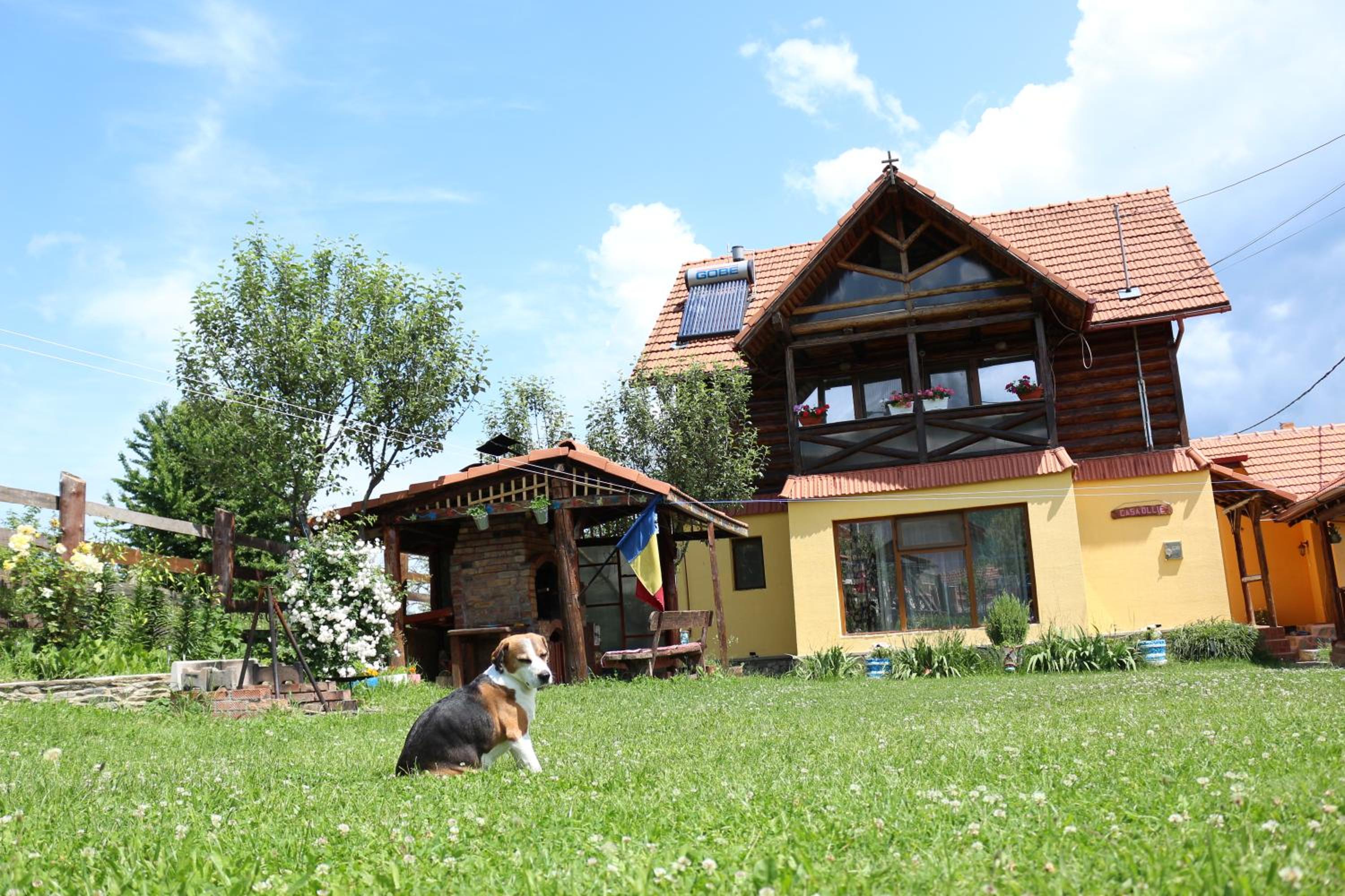 Photo 8