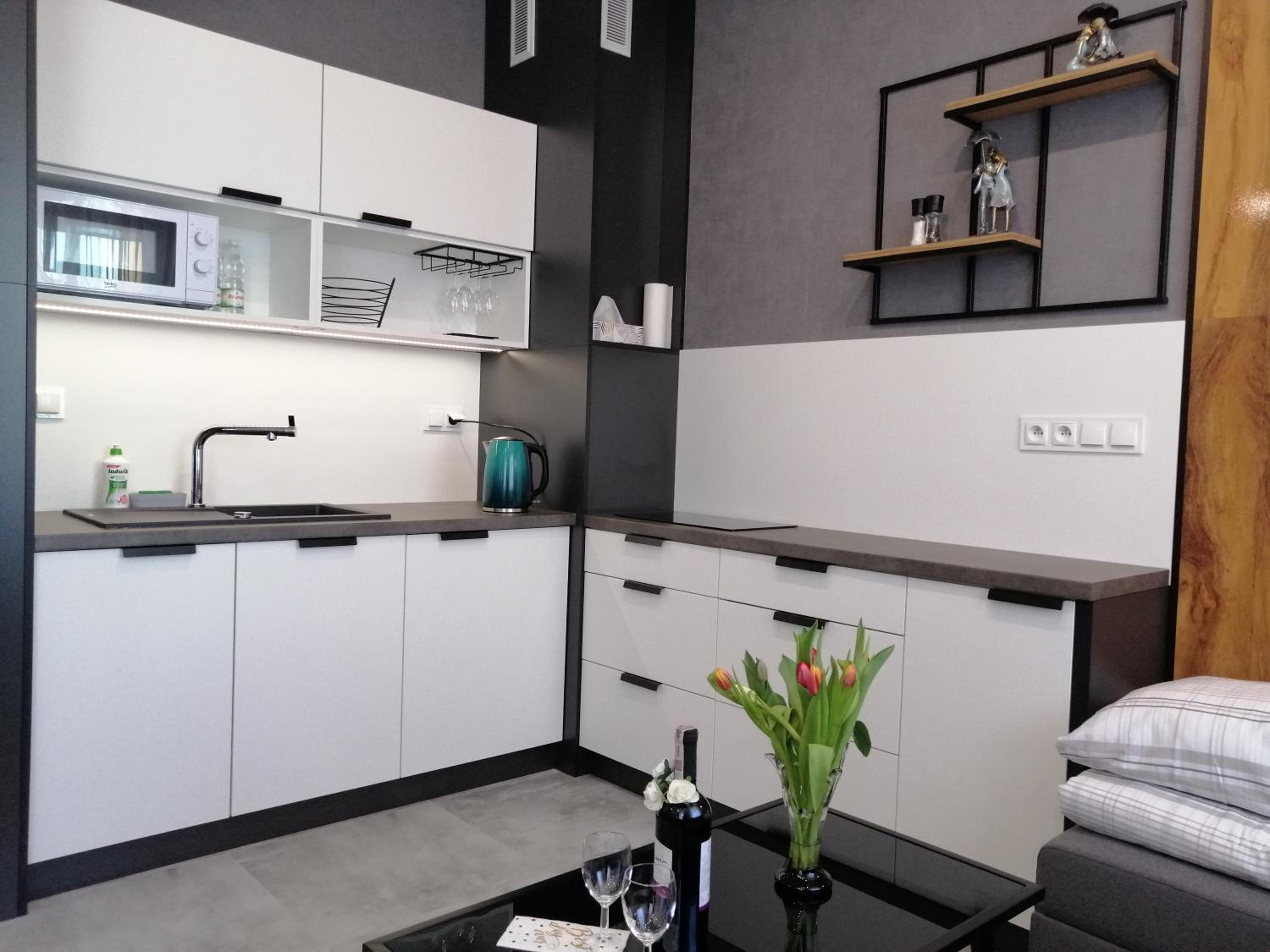 Noce w Jelonce - Nowoczesny Apartament typu Studio w Centrum Jeleniej G - z garażem dla 1-4 osób view 2
