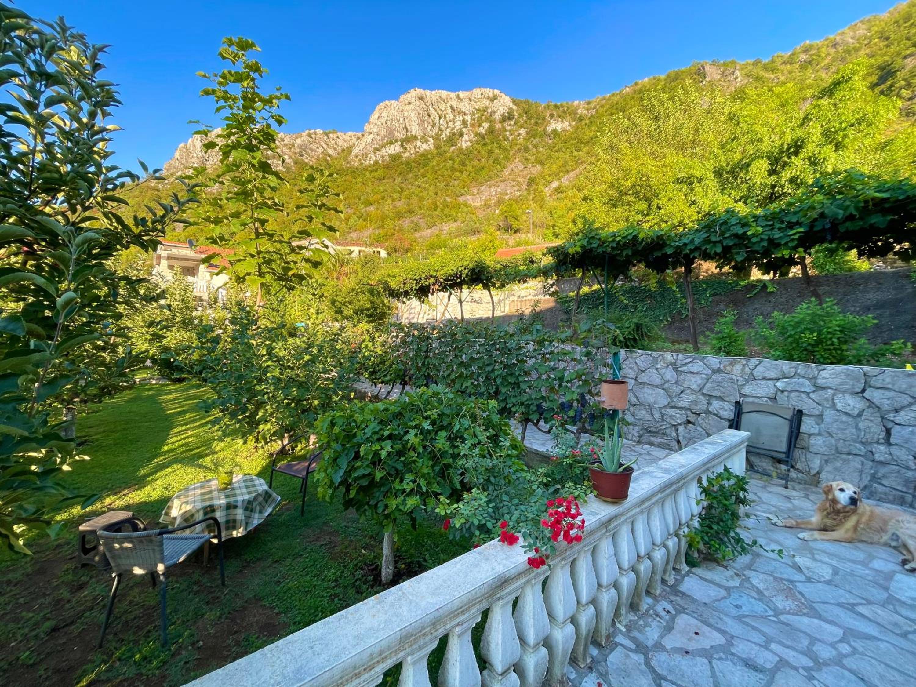 Country House Djurisic