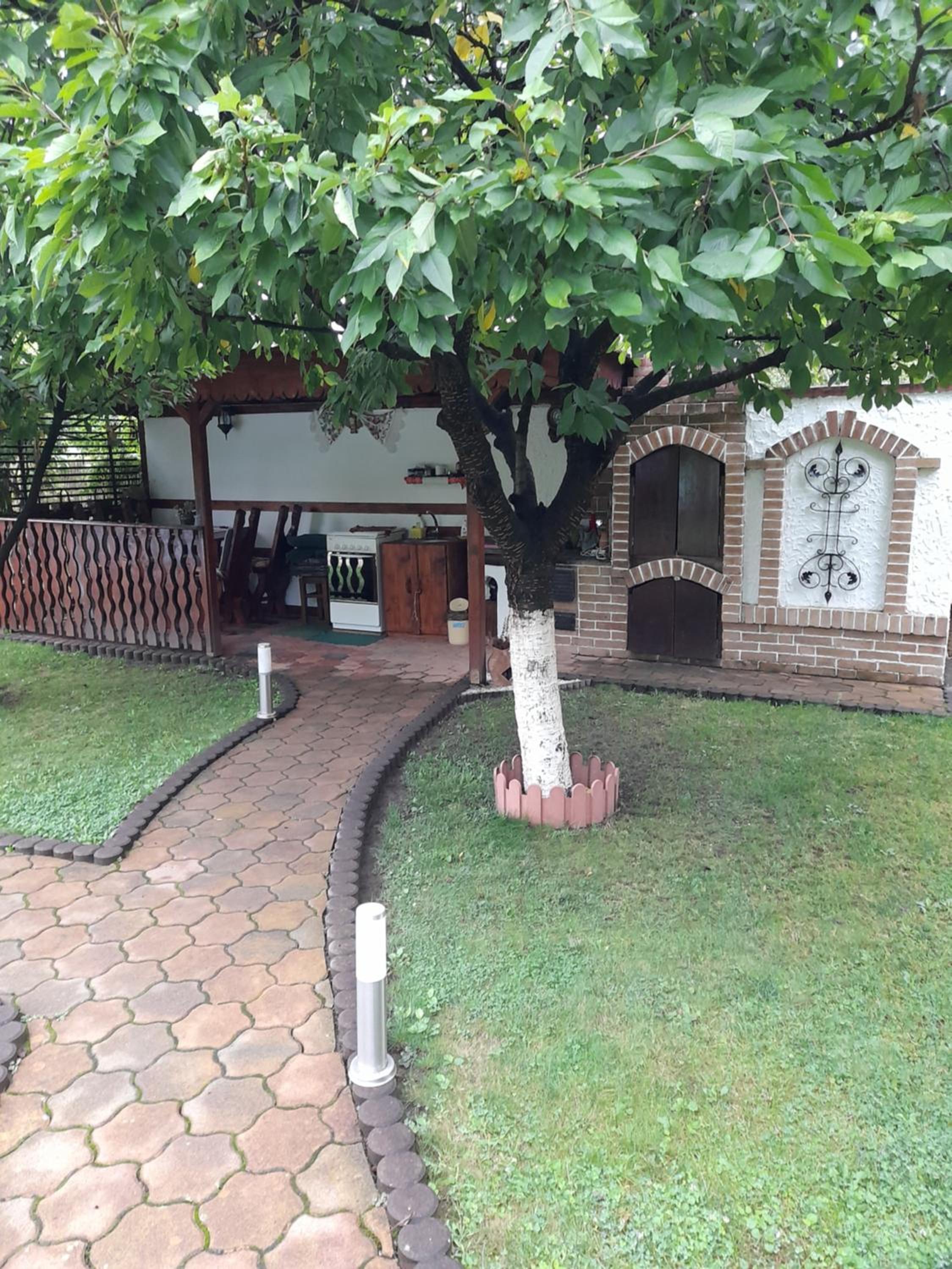 Photo 31