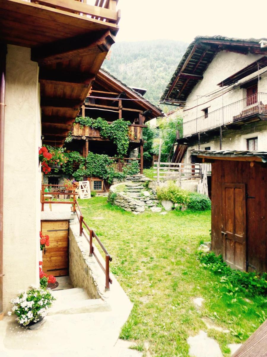 Photo 8