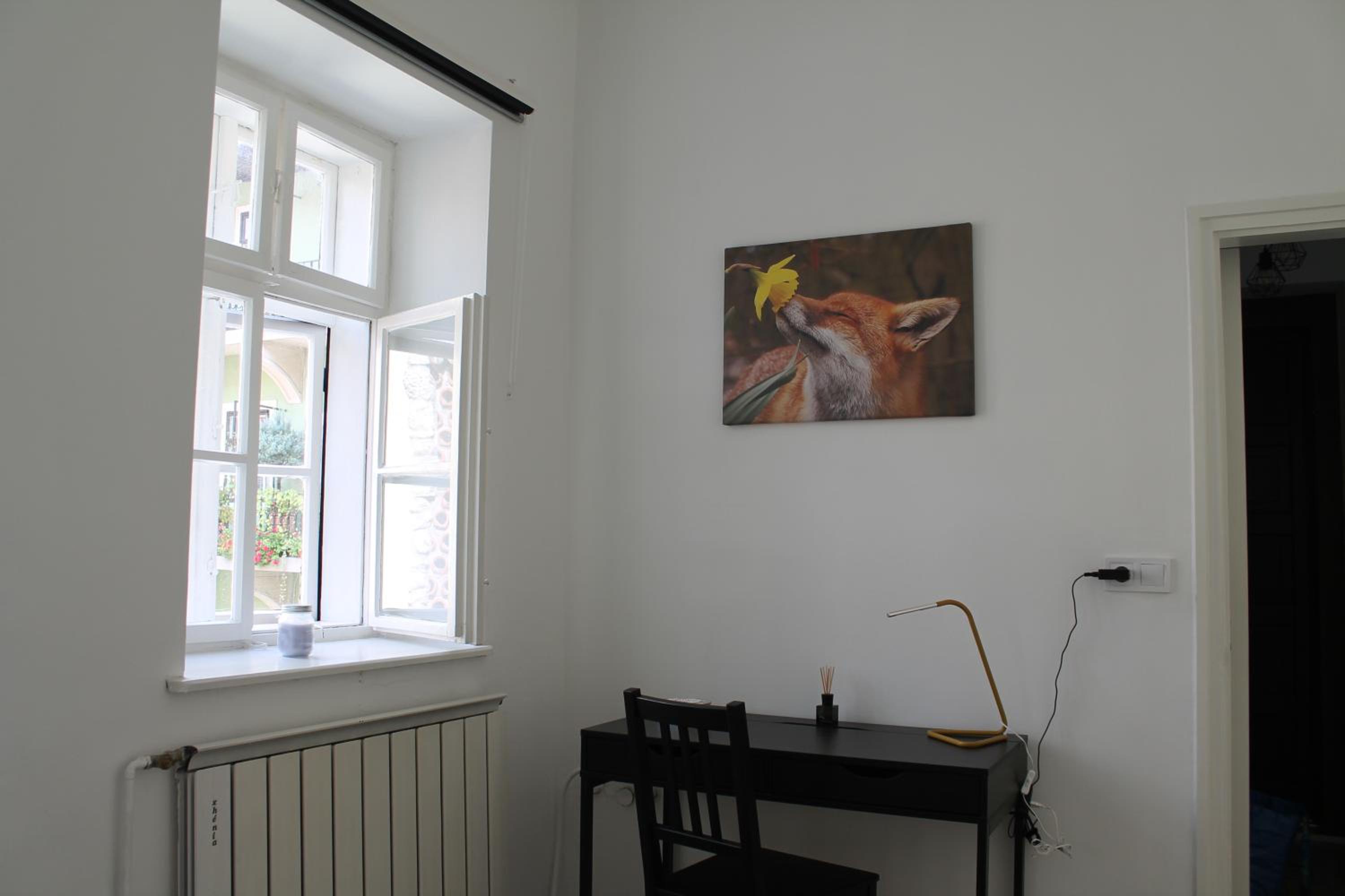 Zwinger Apartman view 3
