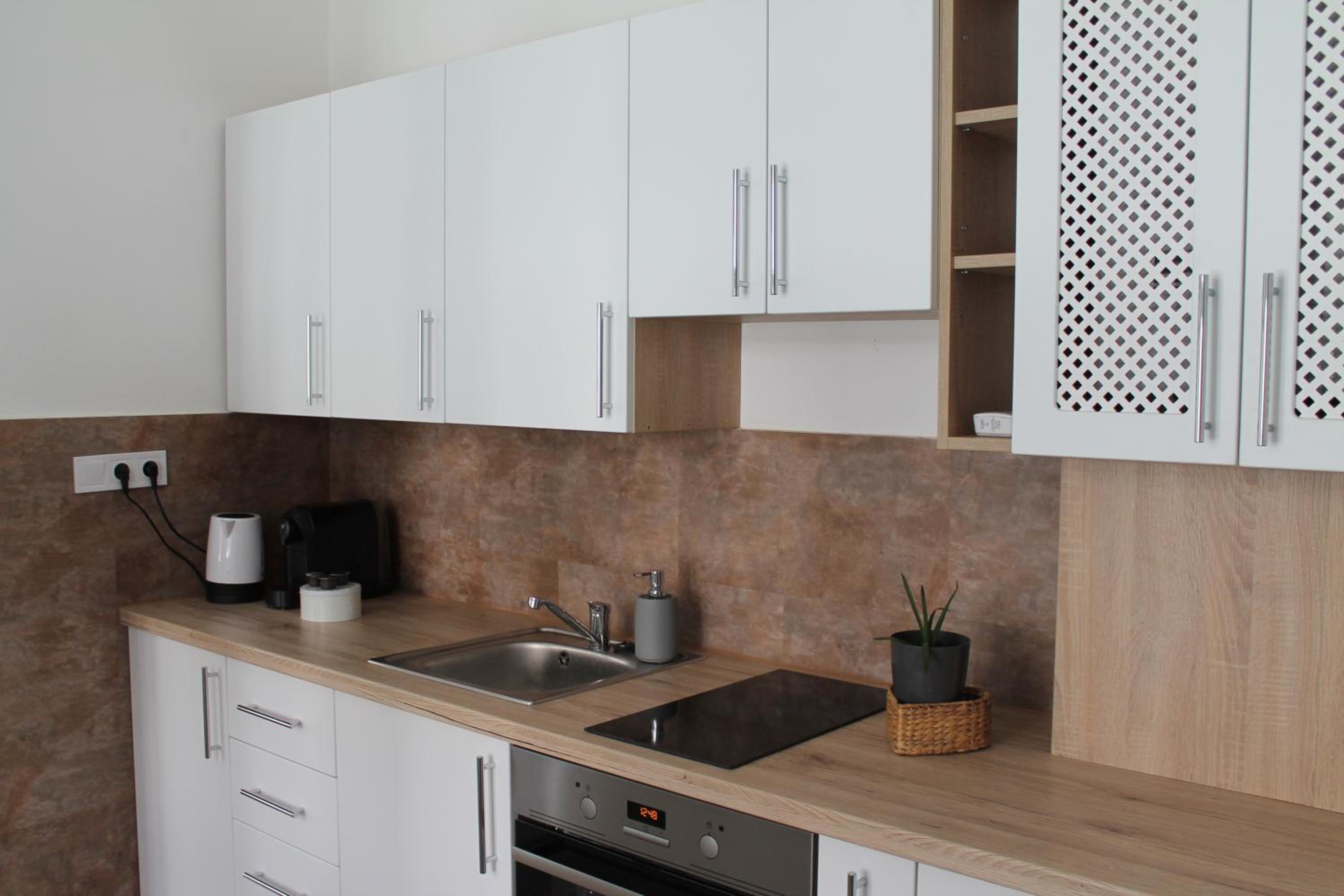Zwinger Apartman view 4