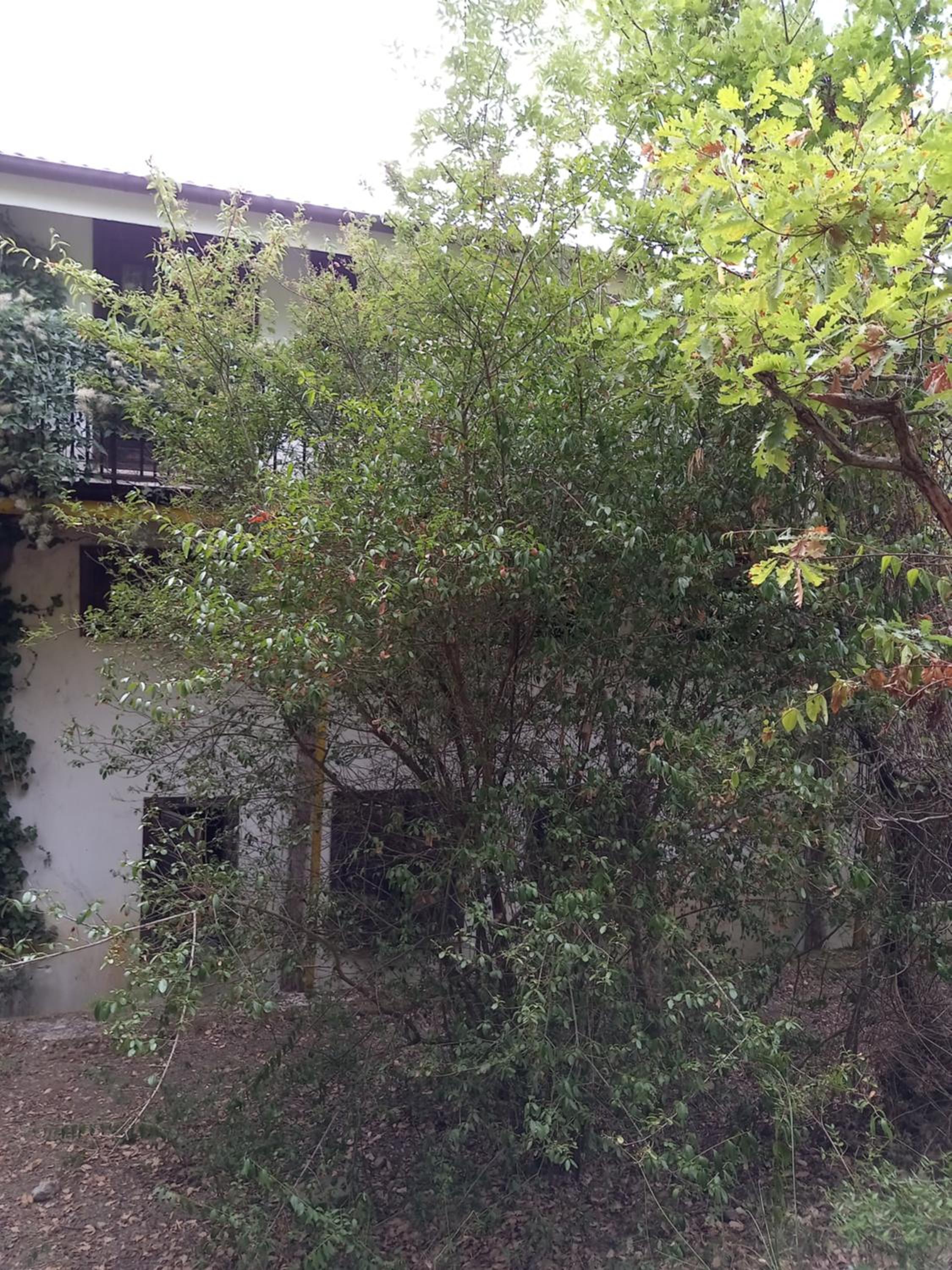 Photo 31