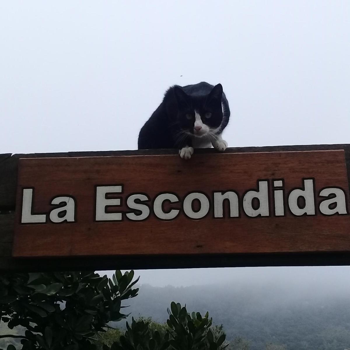 La Escondida