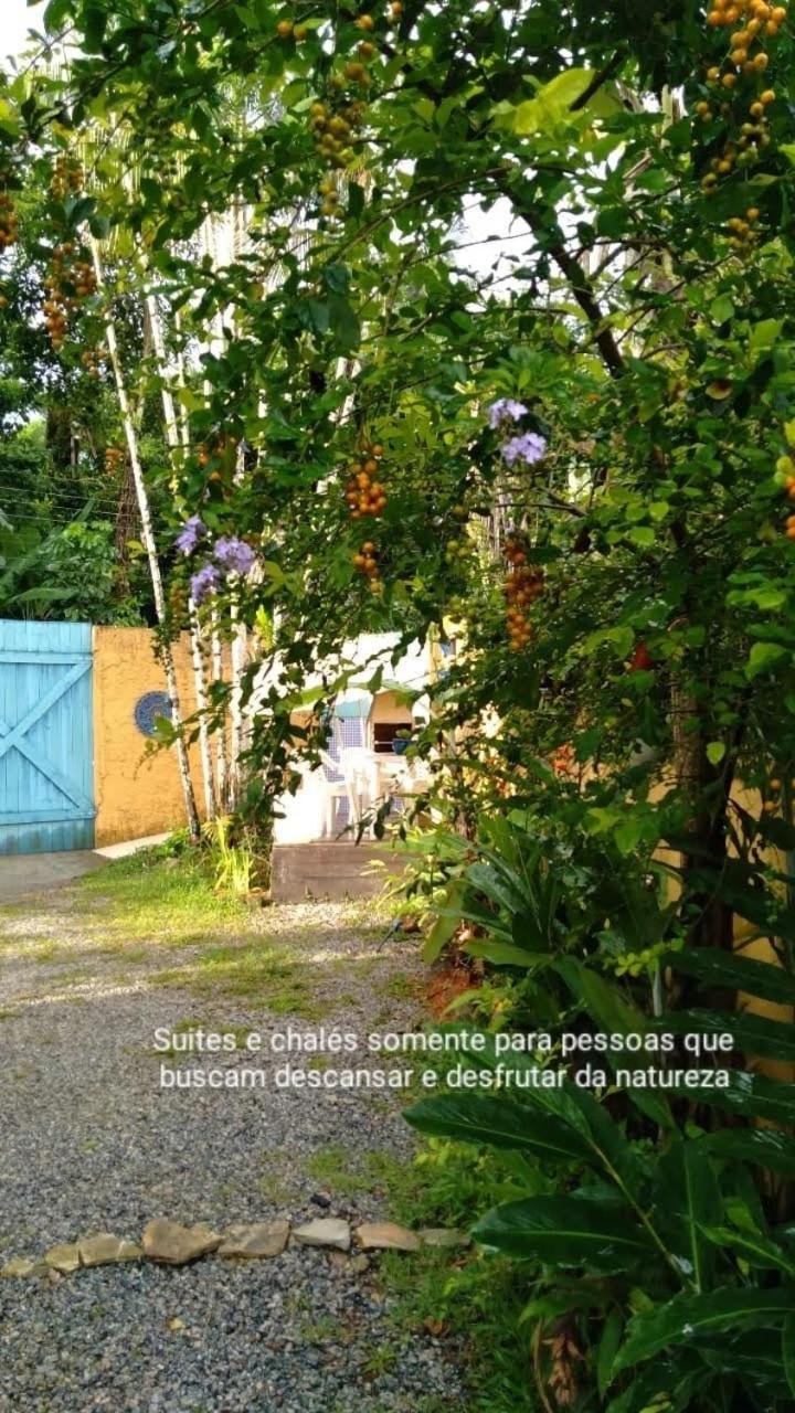 Photo 51