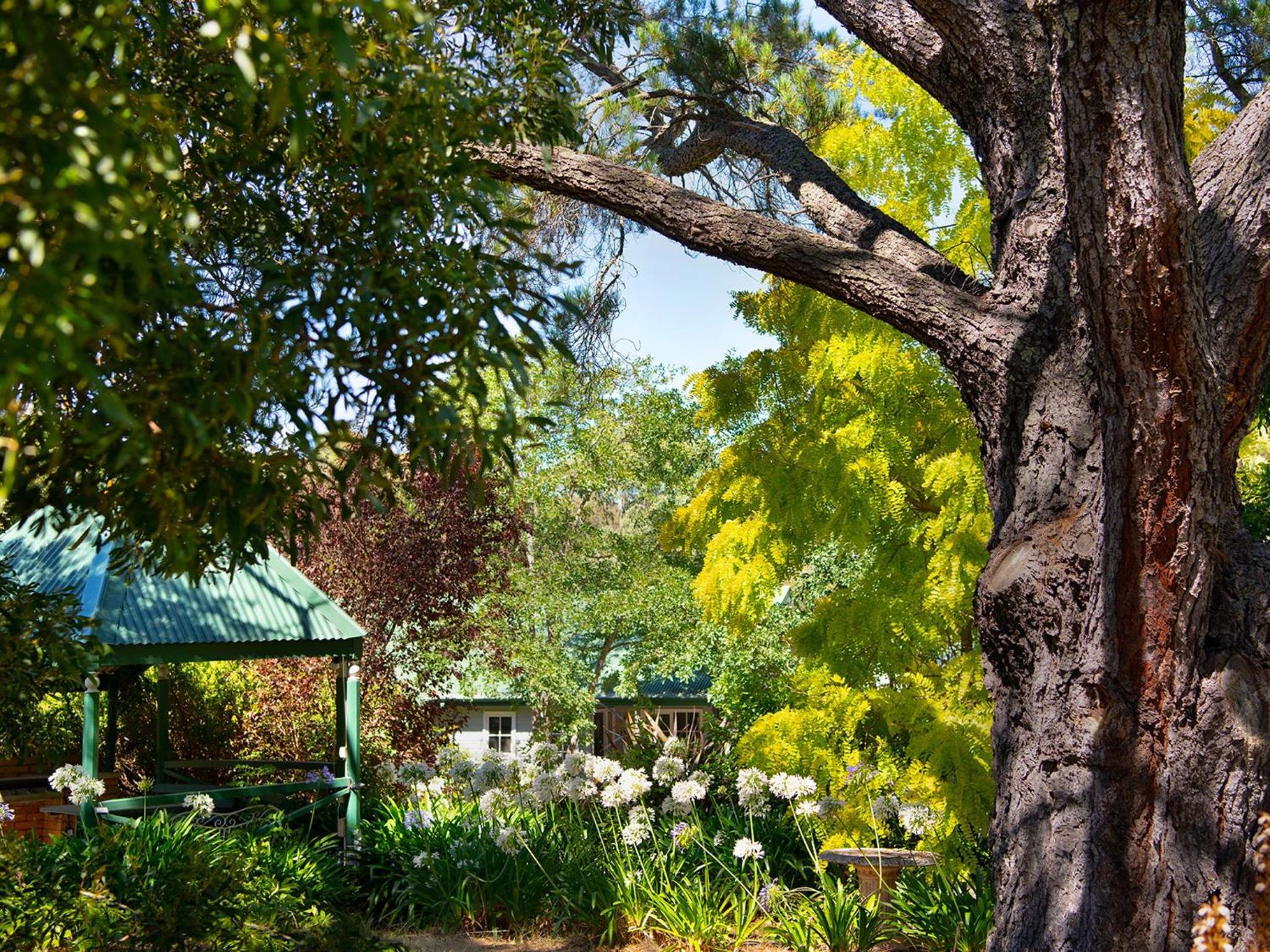 Lucini Cottage- wood fire and bush views