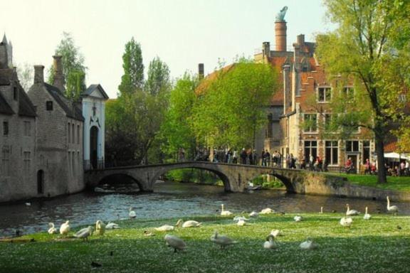 B&B Bru-Beauline