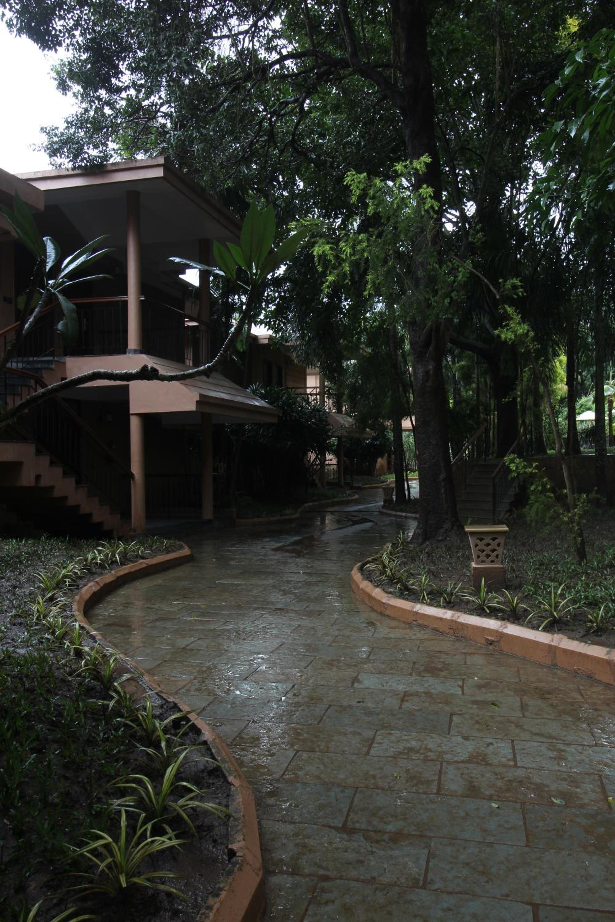 Photo 43
