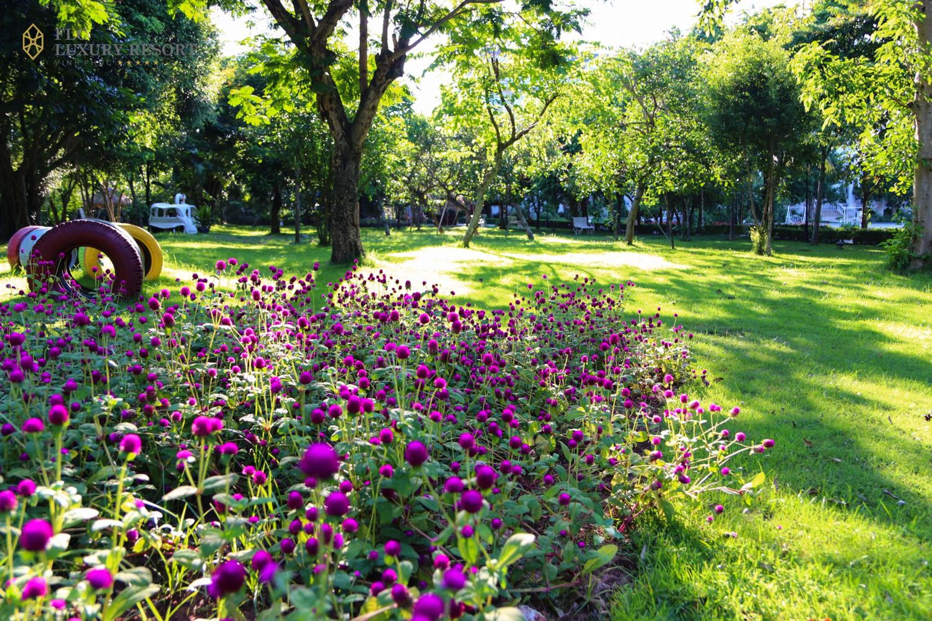 FLC Luxury Resort Vinh Phuc