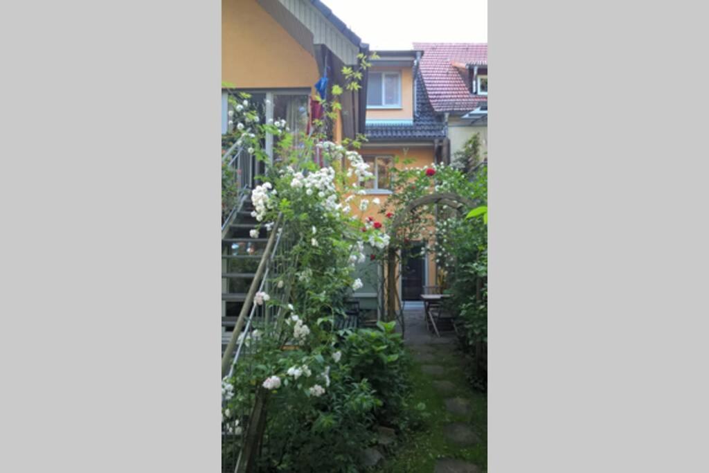 Einliegerwohnung mit Wintergarten (EG)