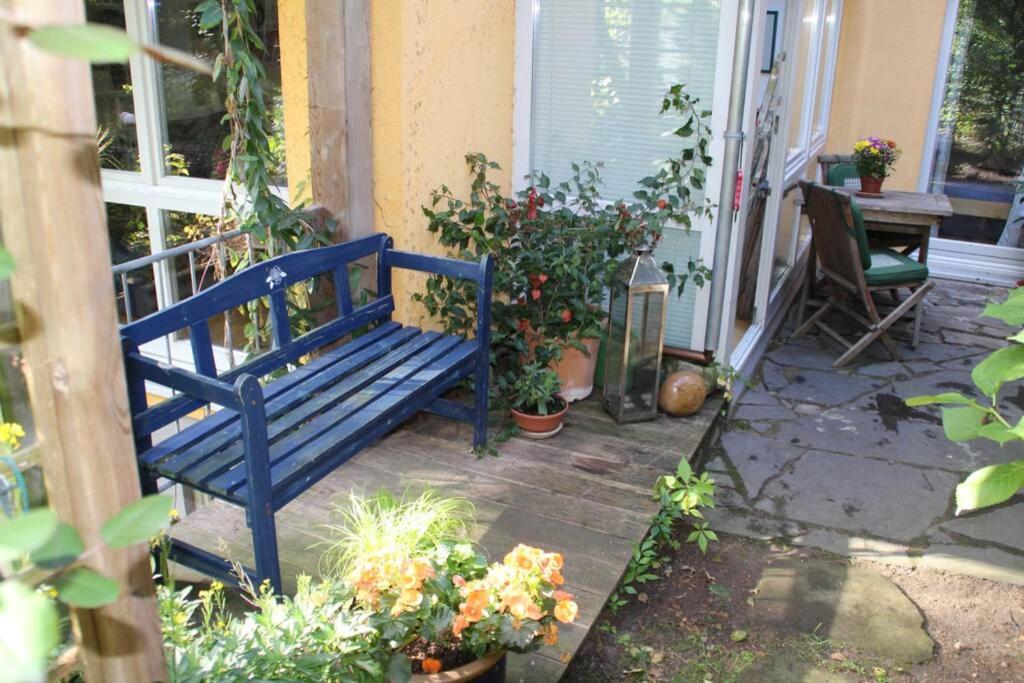Einliegerwohnung mit Wintergarten (EG)