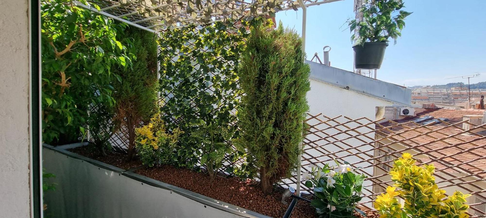 R.D.V. Duplex Nice Center view 4