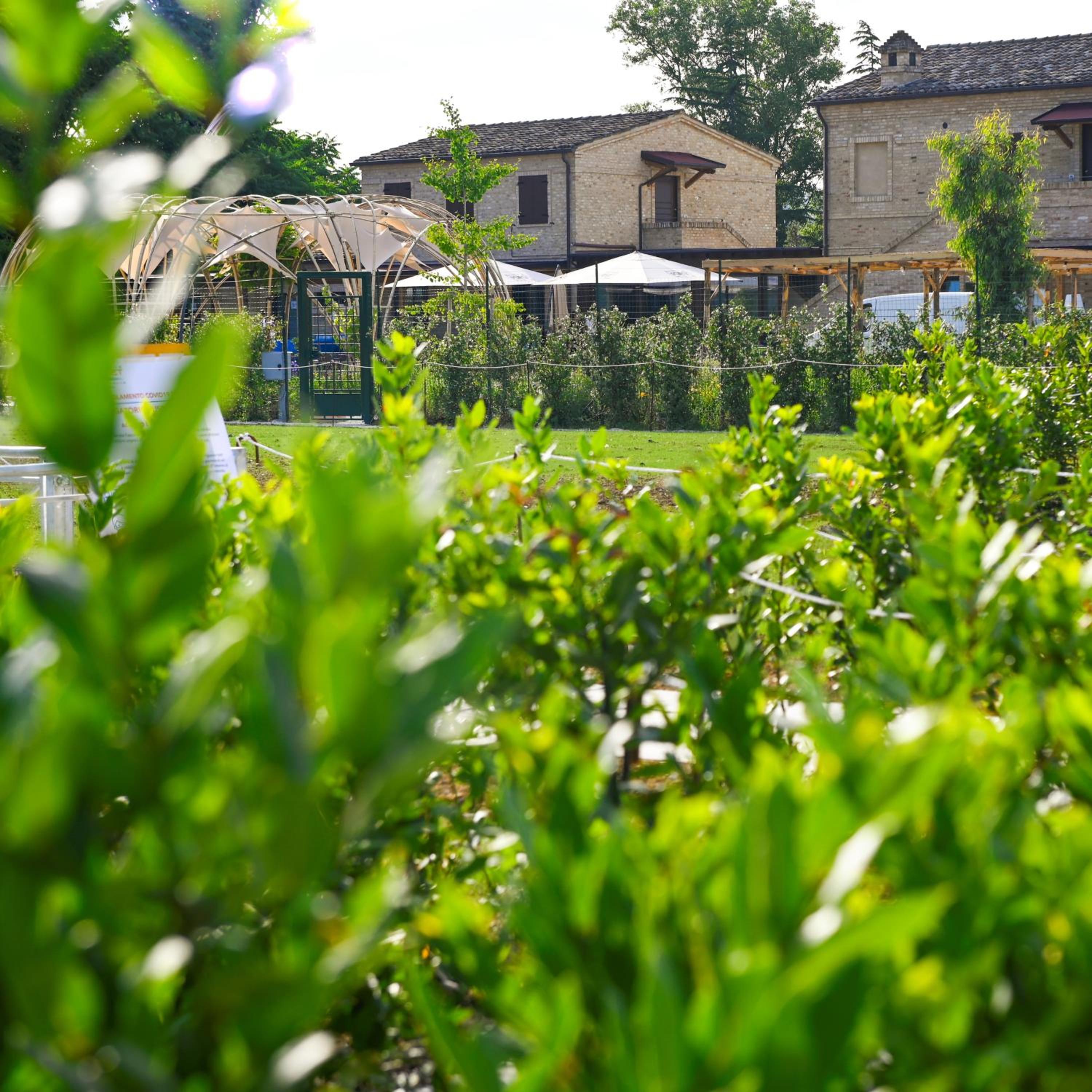 Moretti Village - SOPHIE ROOMS COUNTRY HOUSE