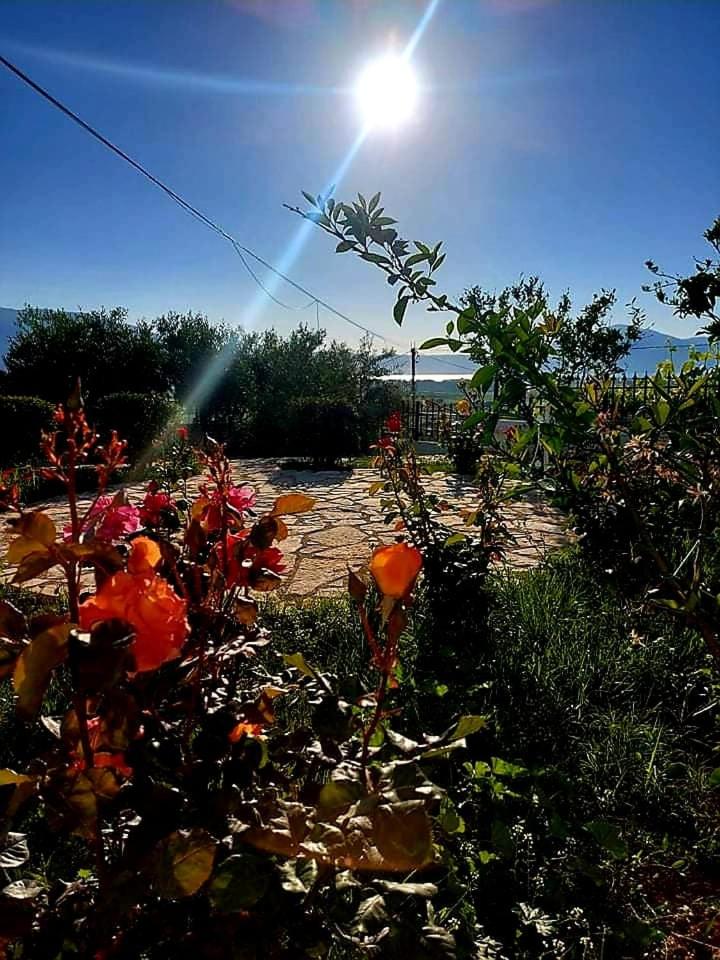 Vlore Casa Vacanze