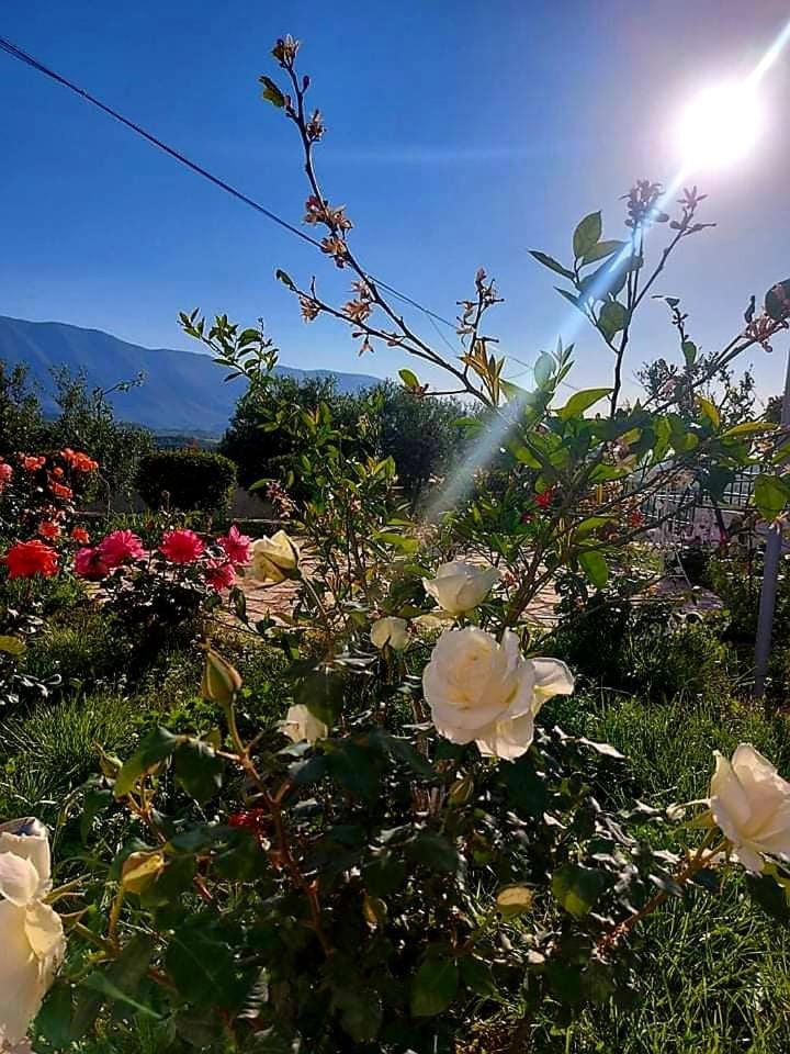 Vlore Casa Vacanze