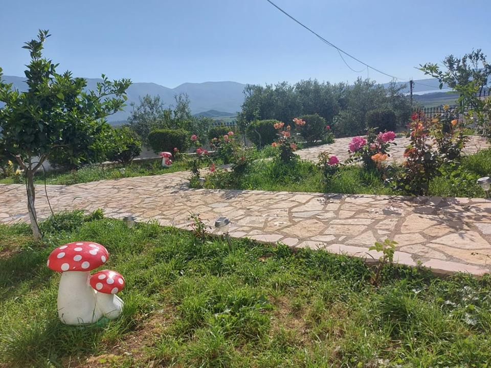 Vlore Casa Vacanze