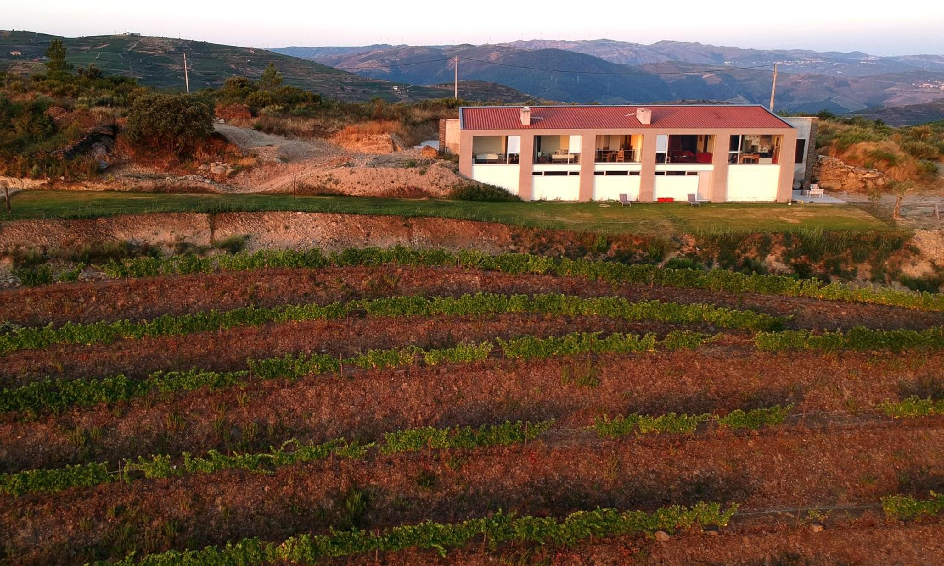 Stay at the Winemaker view 3