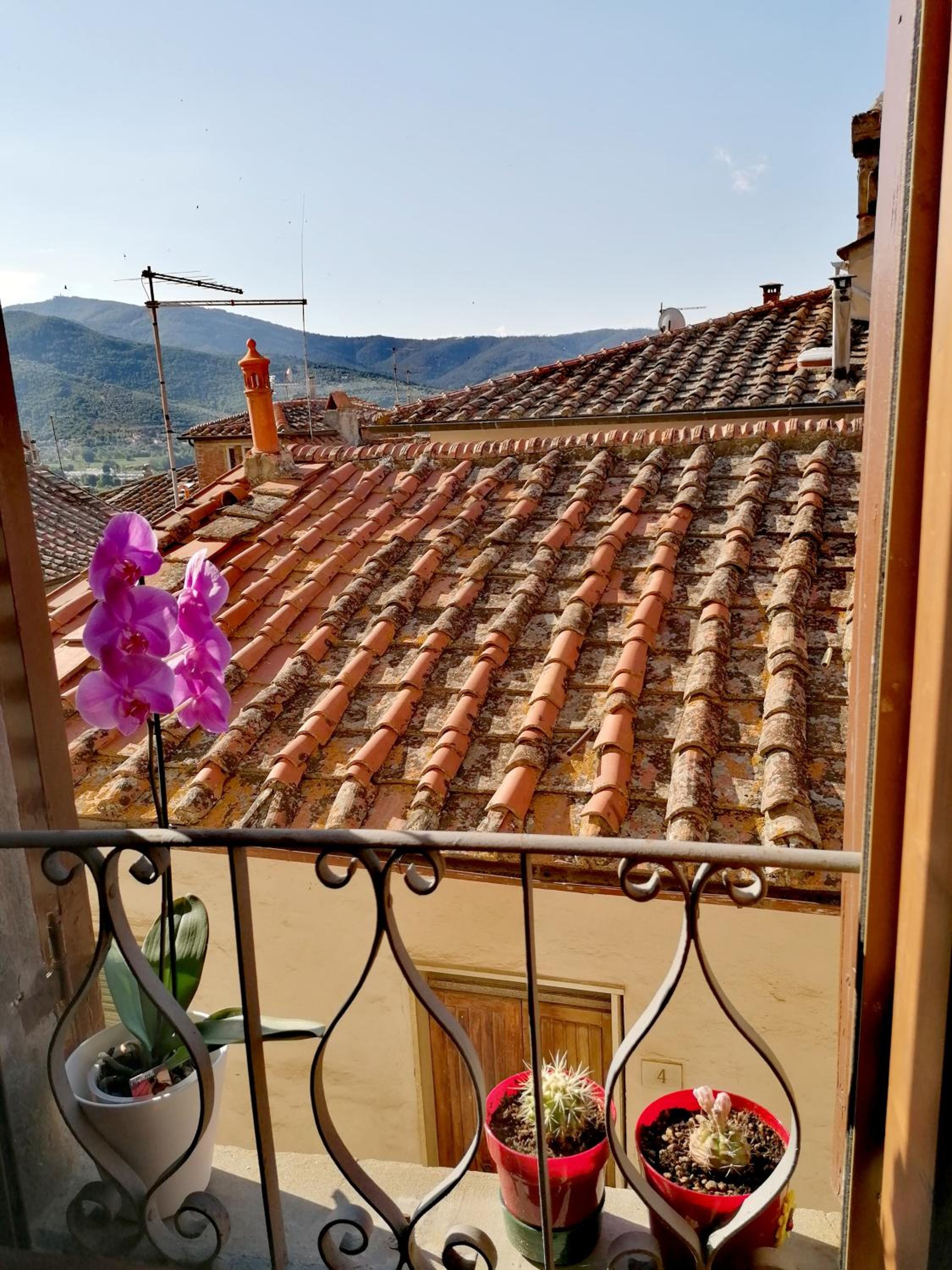 IL TROTTAPIANO HOME view 3