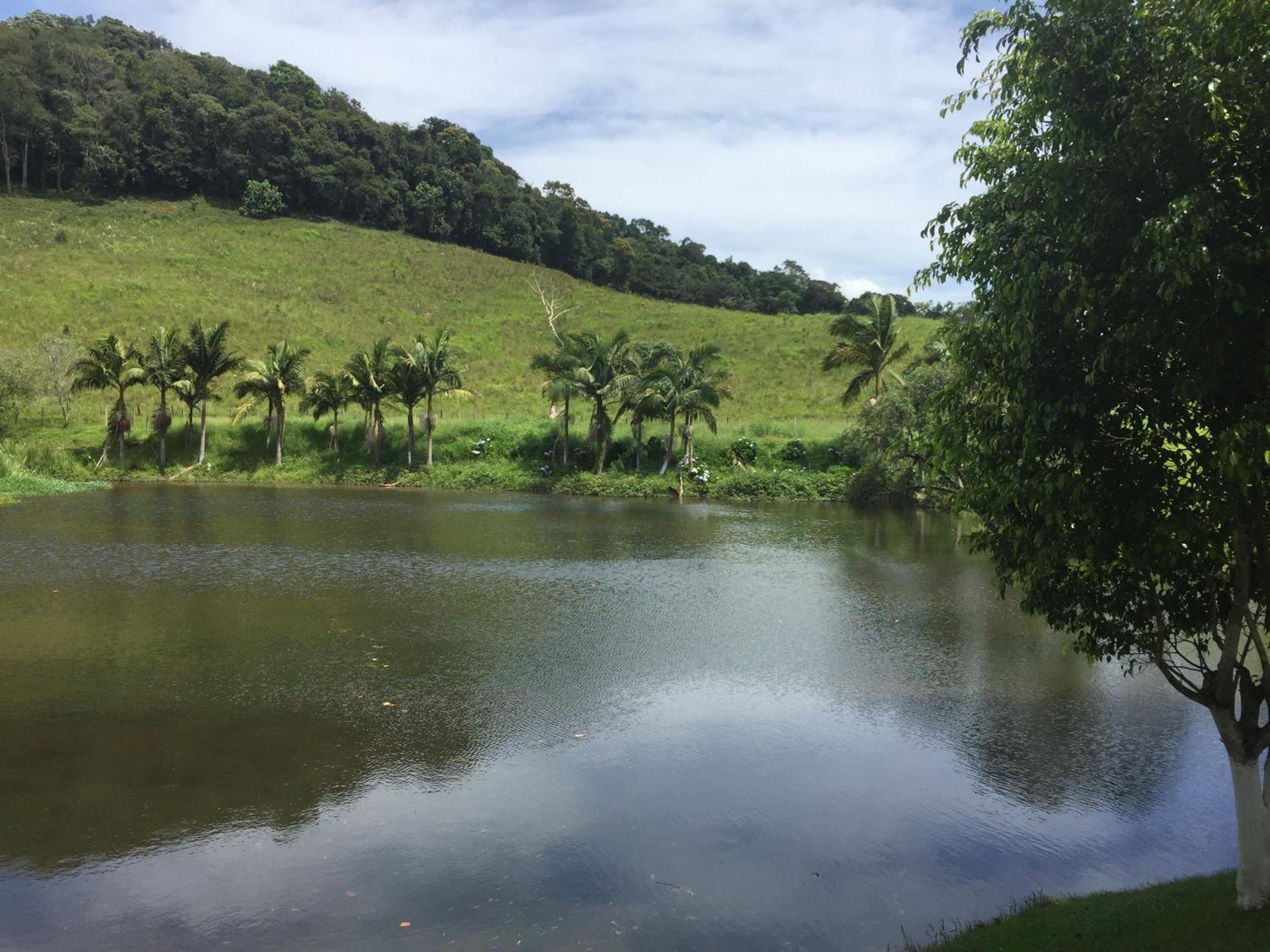 Fazenda Chico Pereira