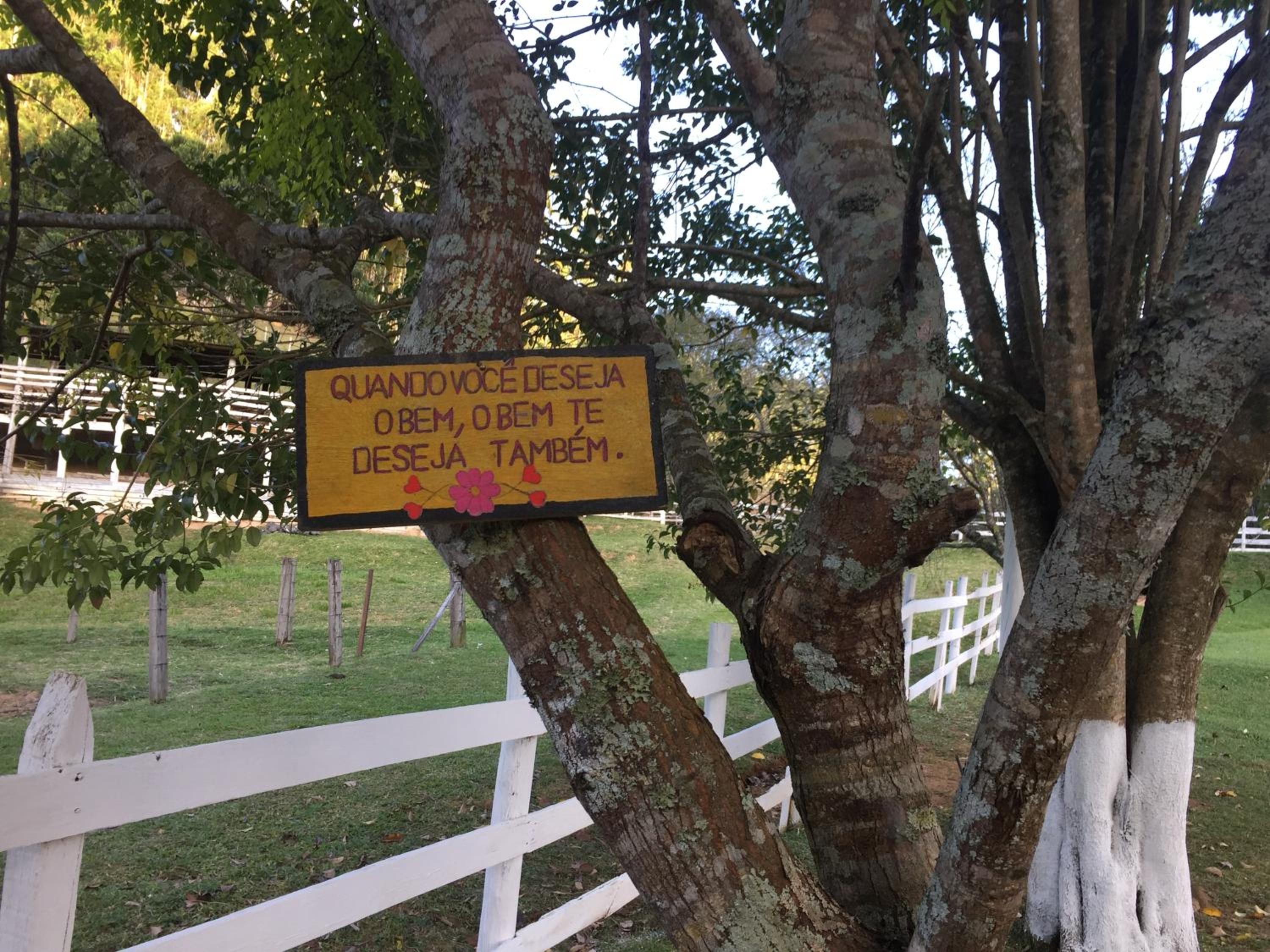 Fazenda Chico Pereira
