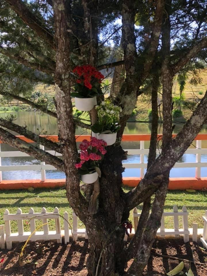 Fazenda Chico Pereira