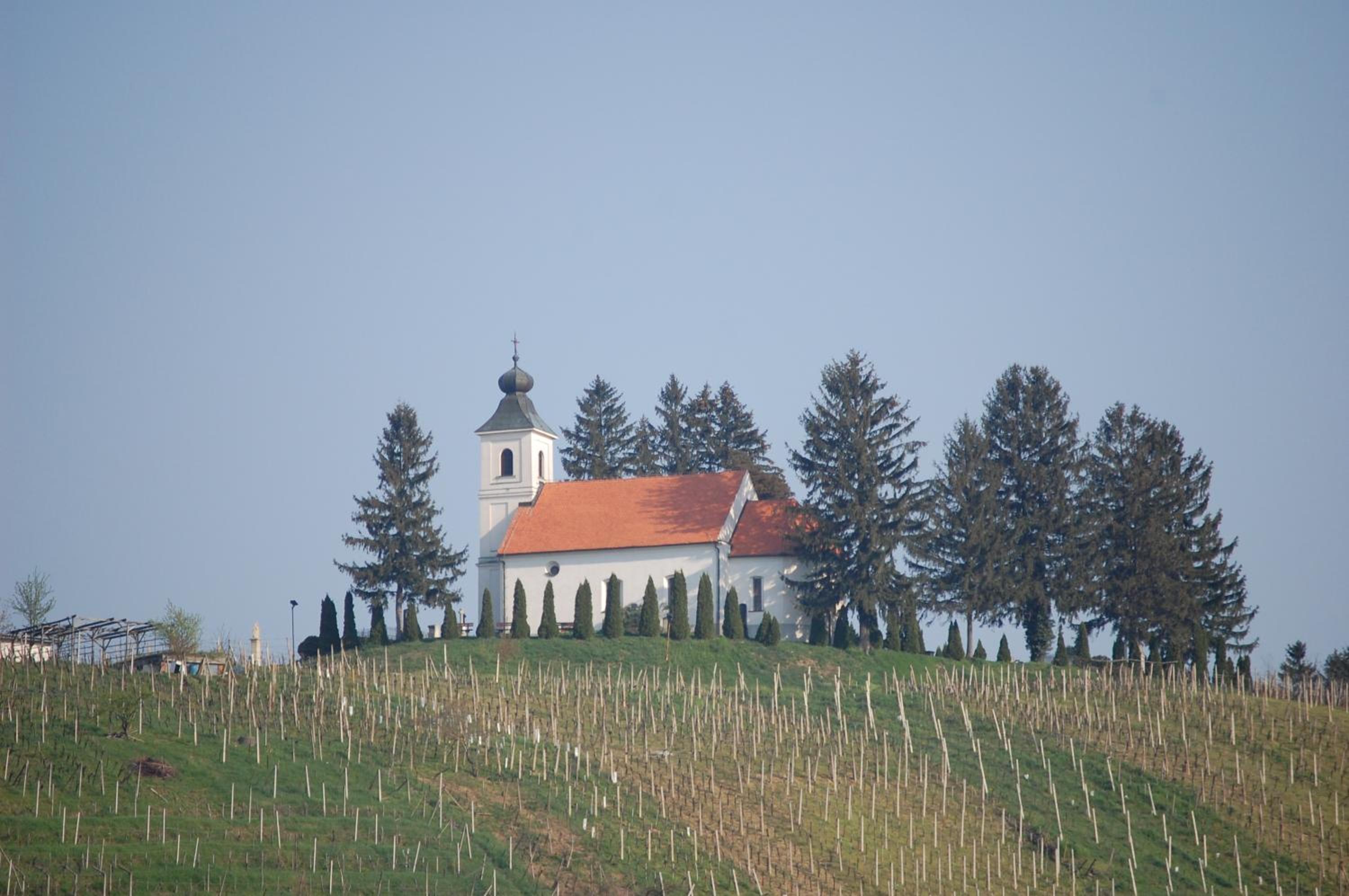 Photo 22
