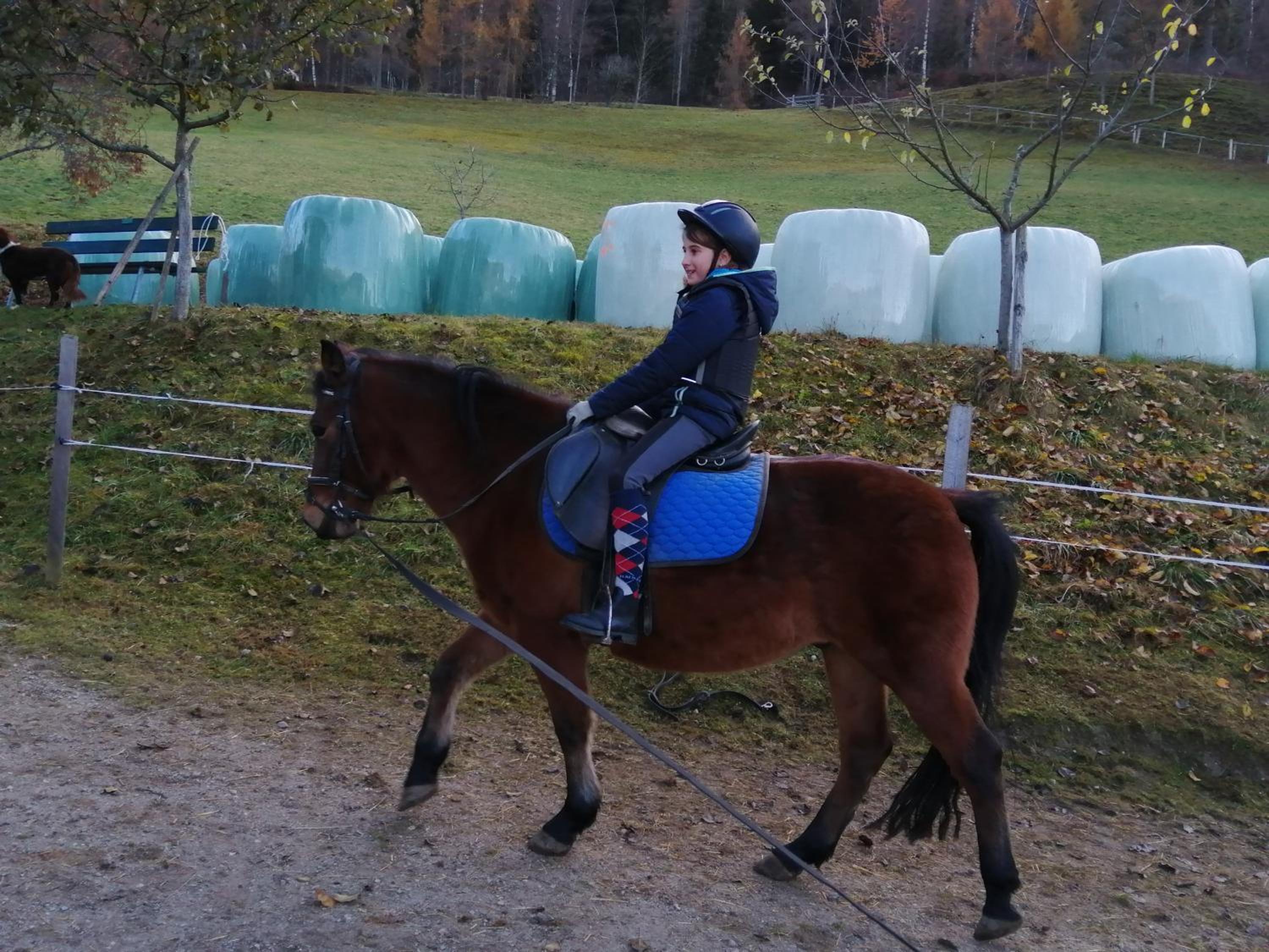 Vordersattlegghof