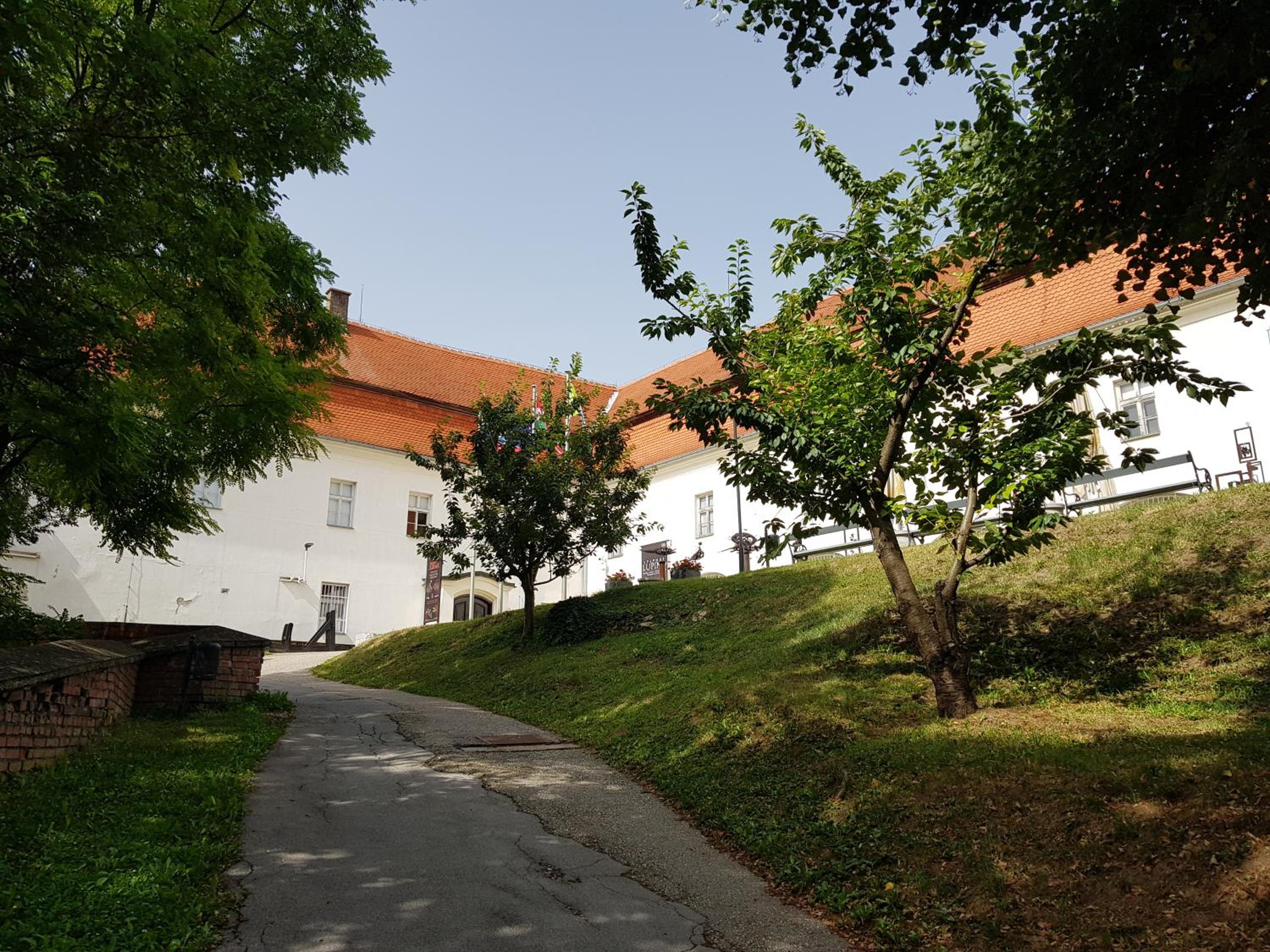 Photo 12