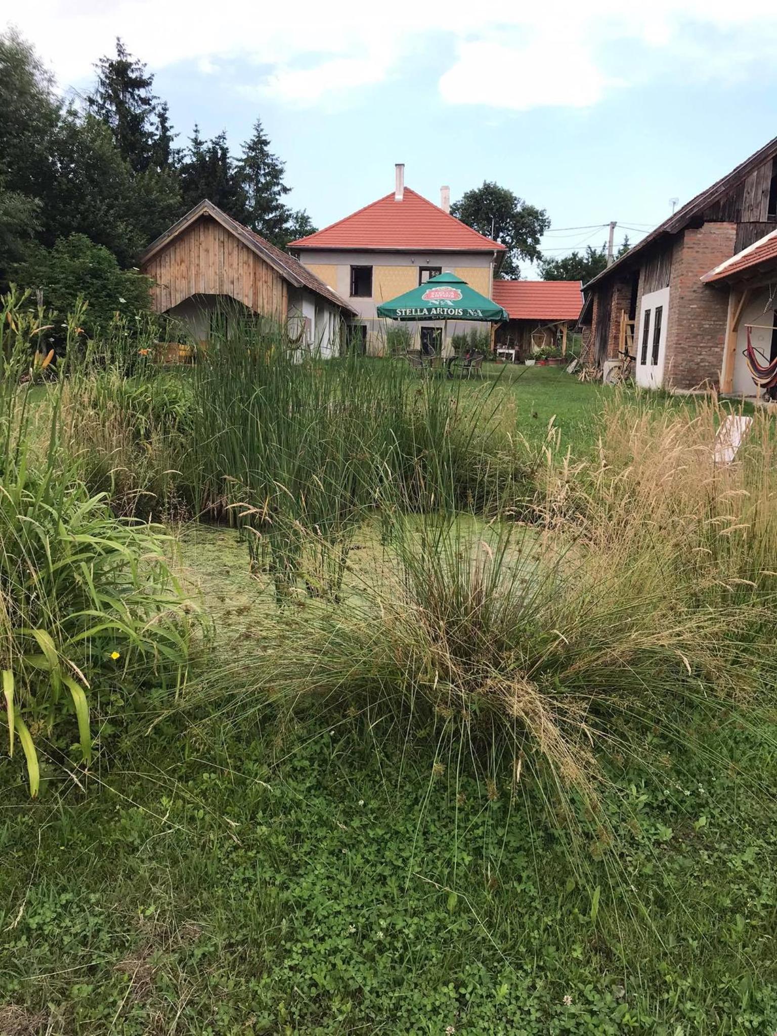 Photo 21