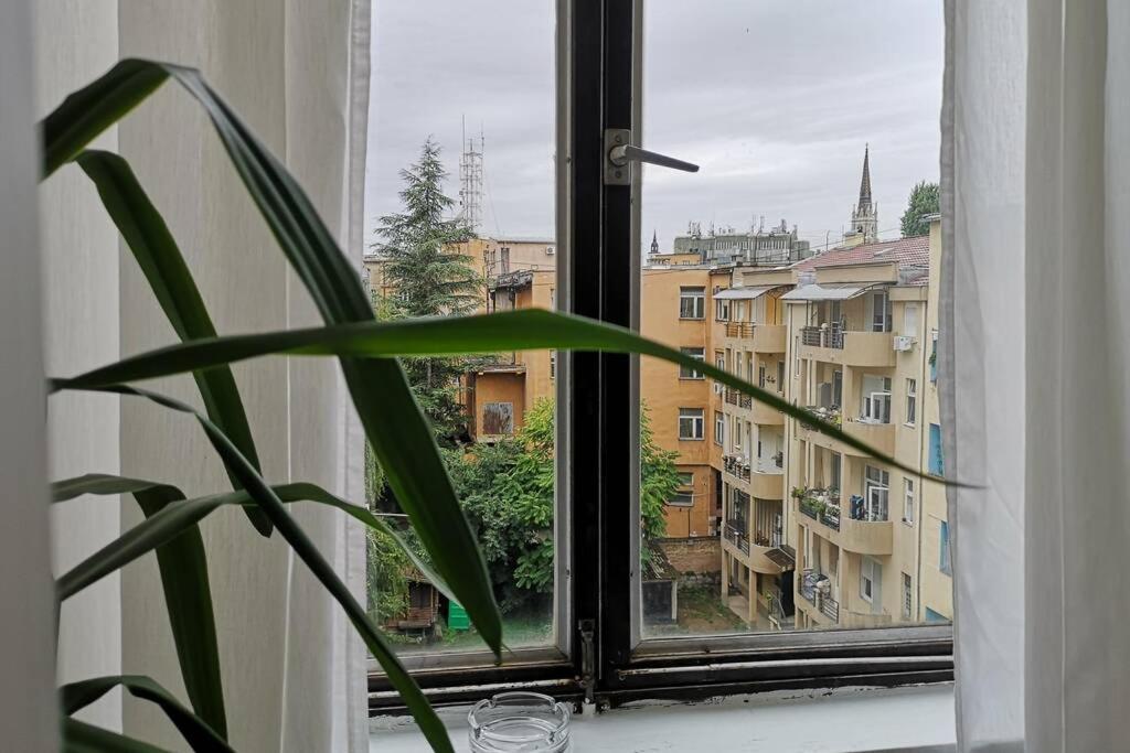 FilinHome Pionirska Parkview Suite view 5