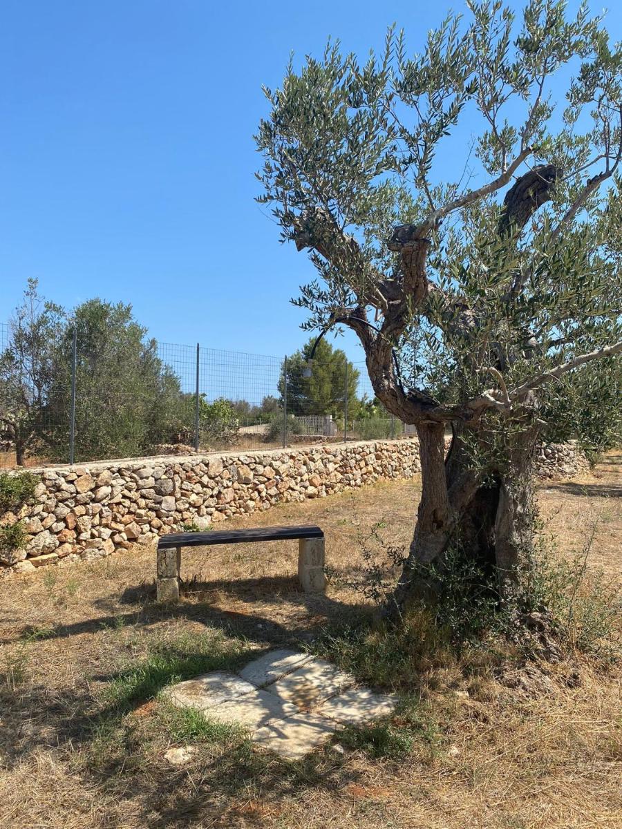 Cincallegra photo 5