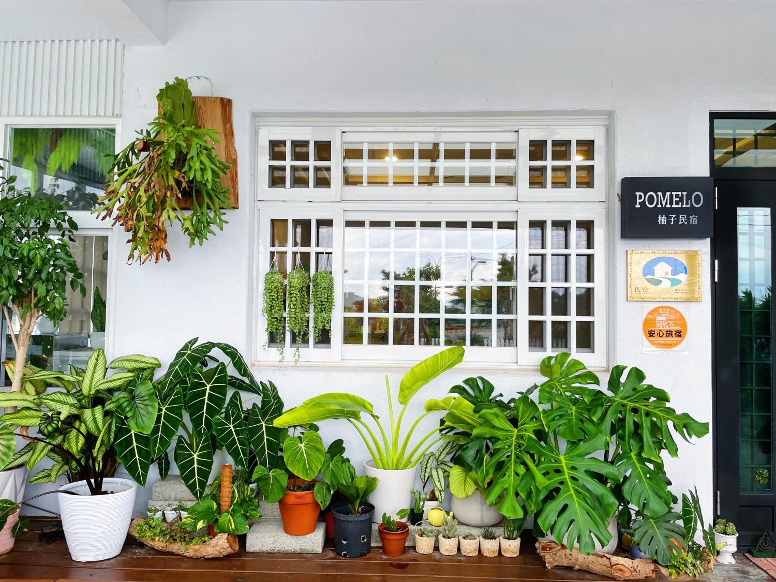 Pomelo Homestay