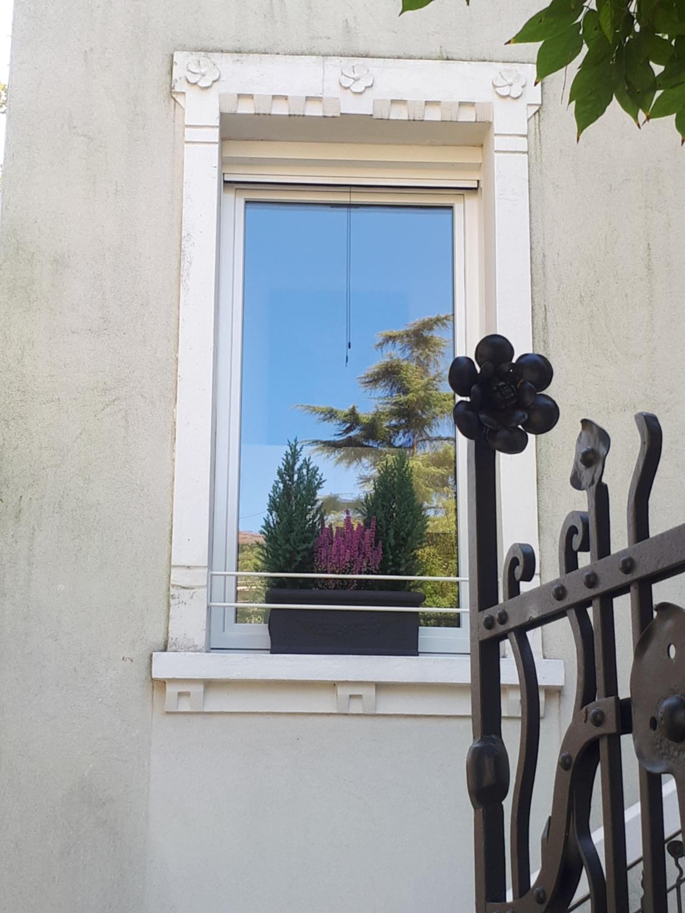 Villa Fiorentino view 5