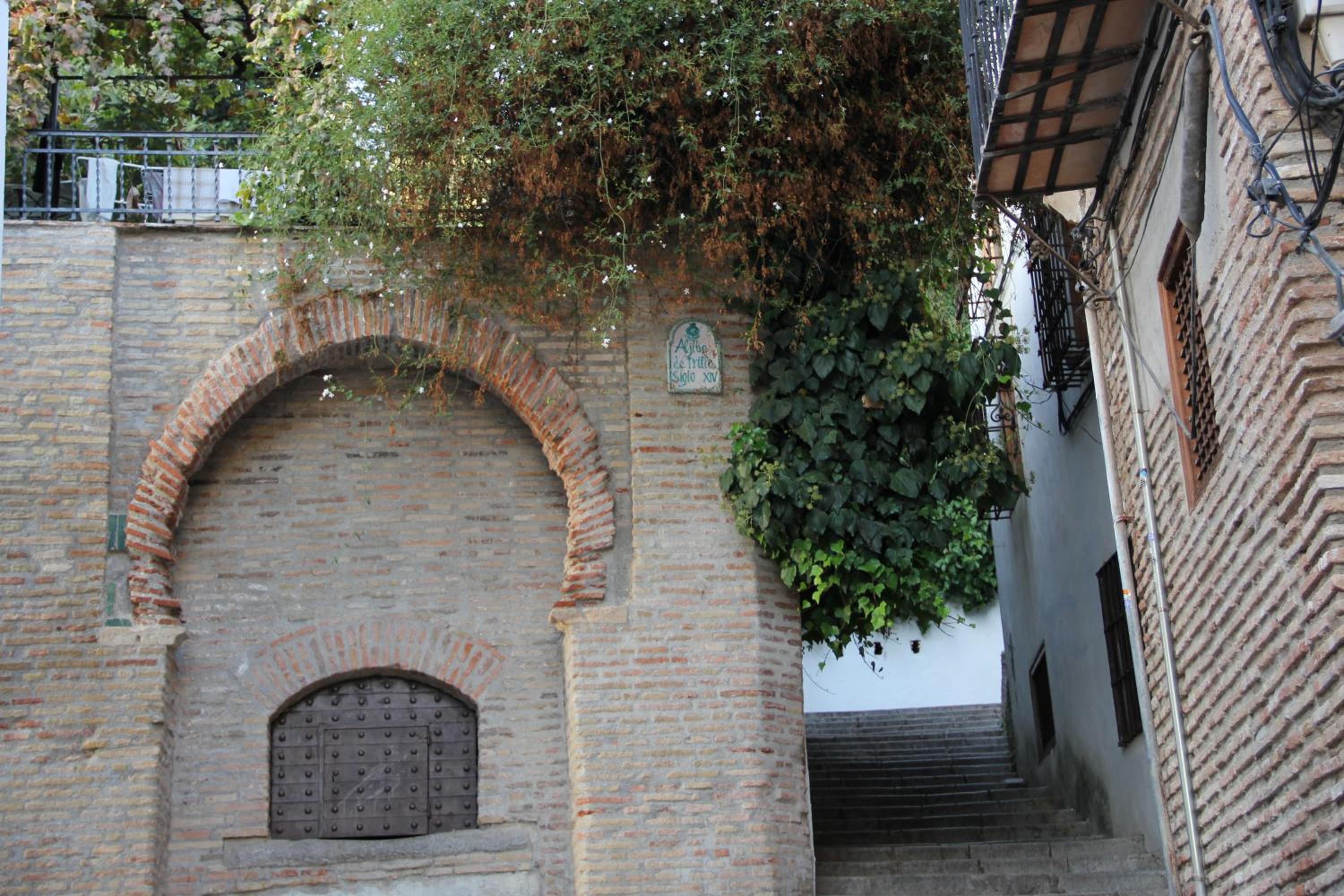 Photo 11