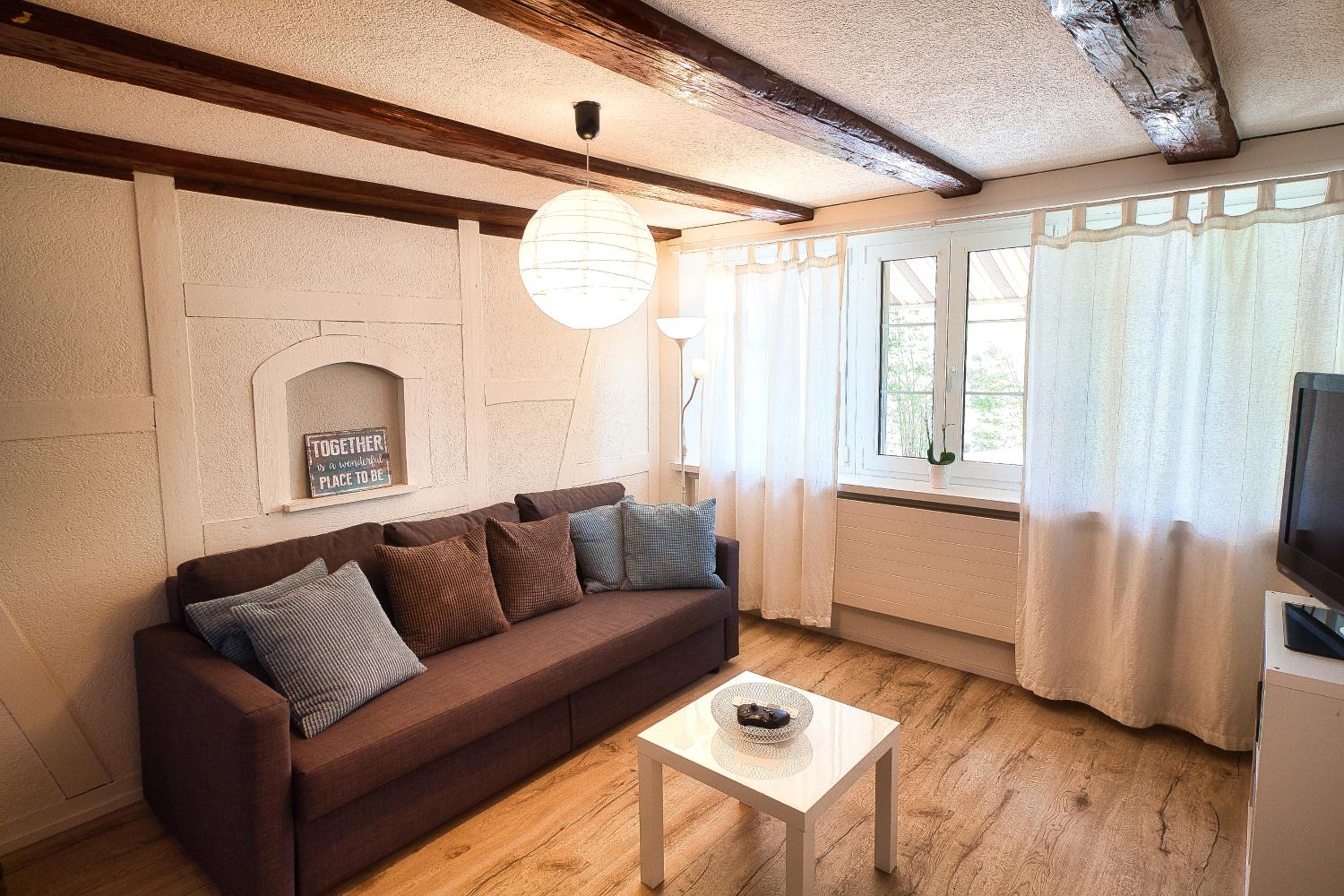 Cozy apartment close to Zurich Airport and City view 5