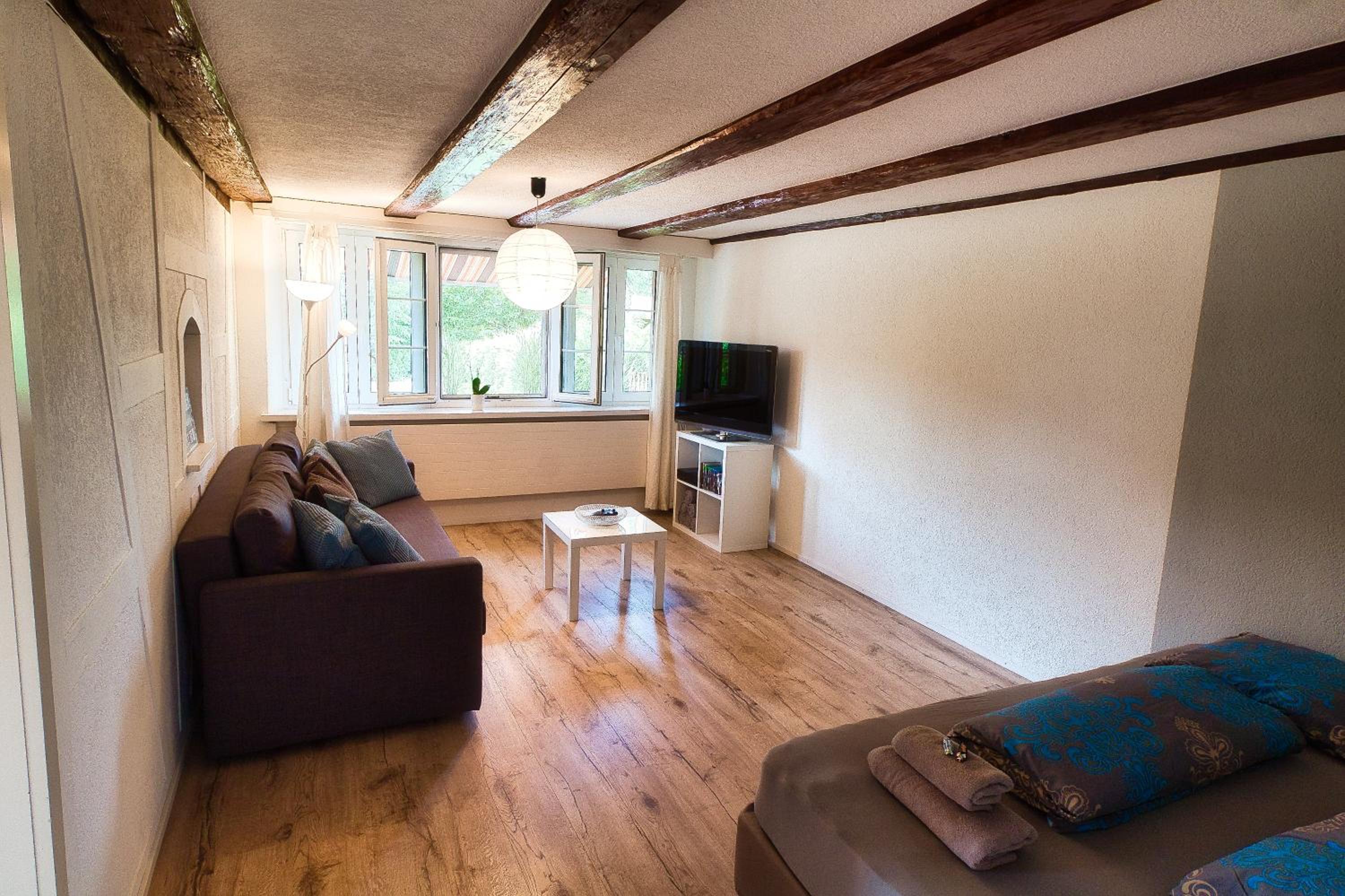 Cozy apartment close to Zurich Airport and City view 4