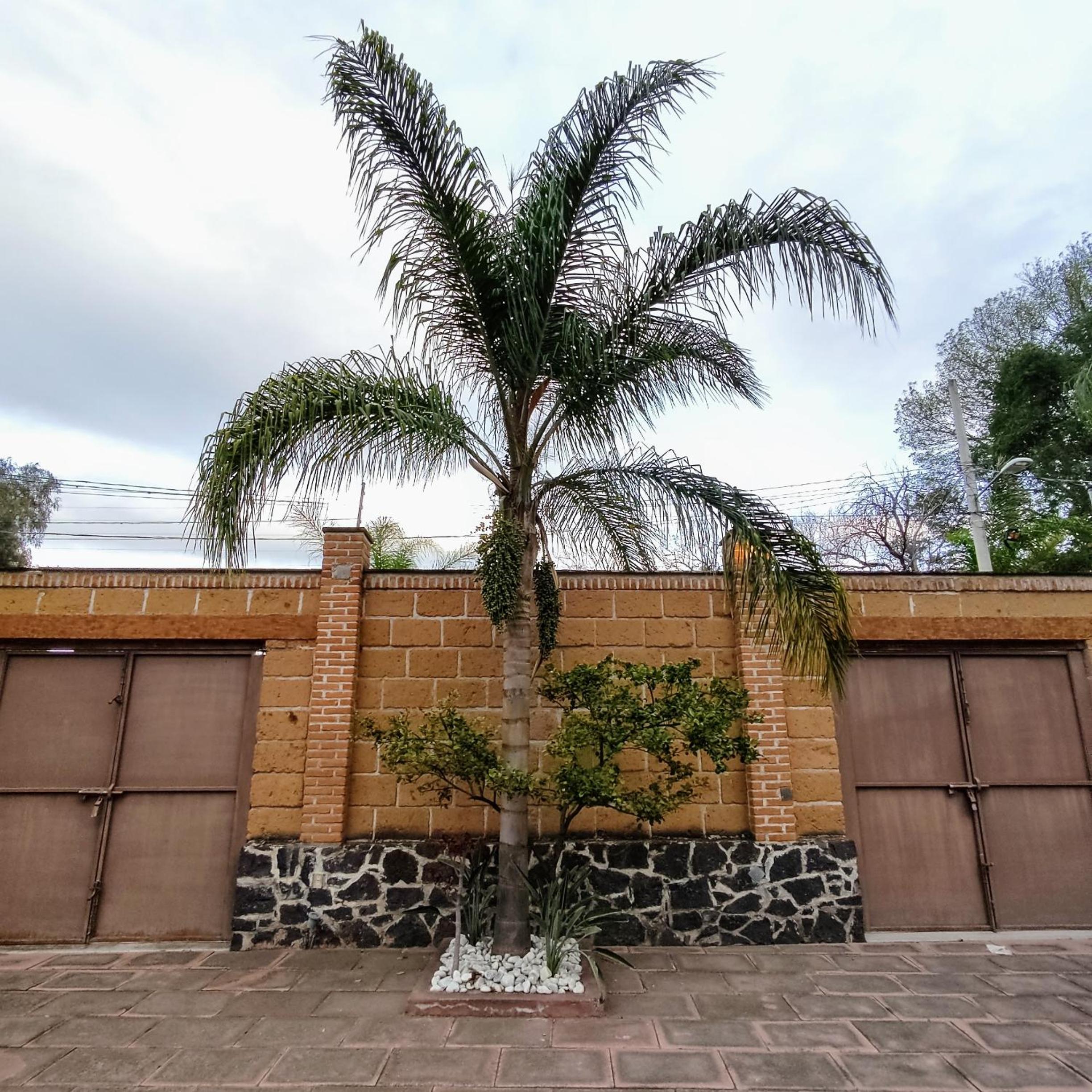 Finca el Nogal - Casa Entera Familiar Moderna con Amplio Jardín Atlixco puebla, photo 29