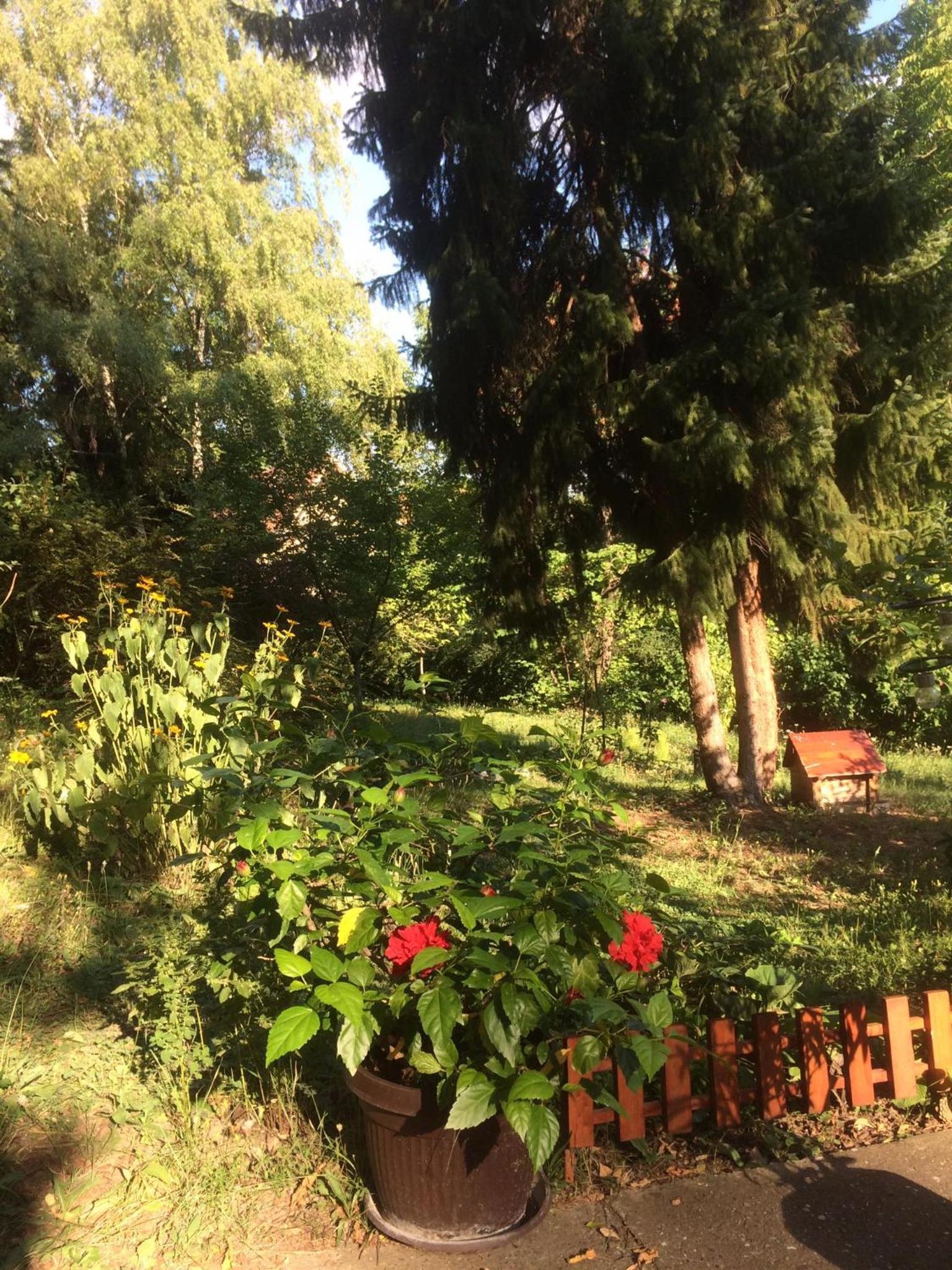 Photo 26