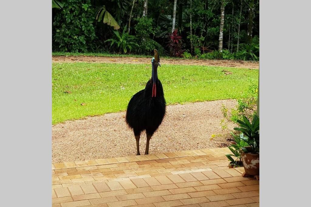 Fanpalm Creek Hideaway