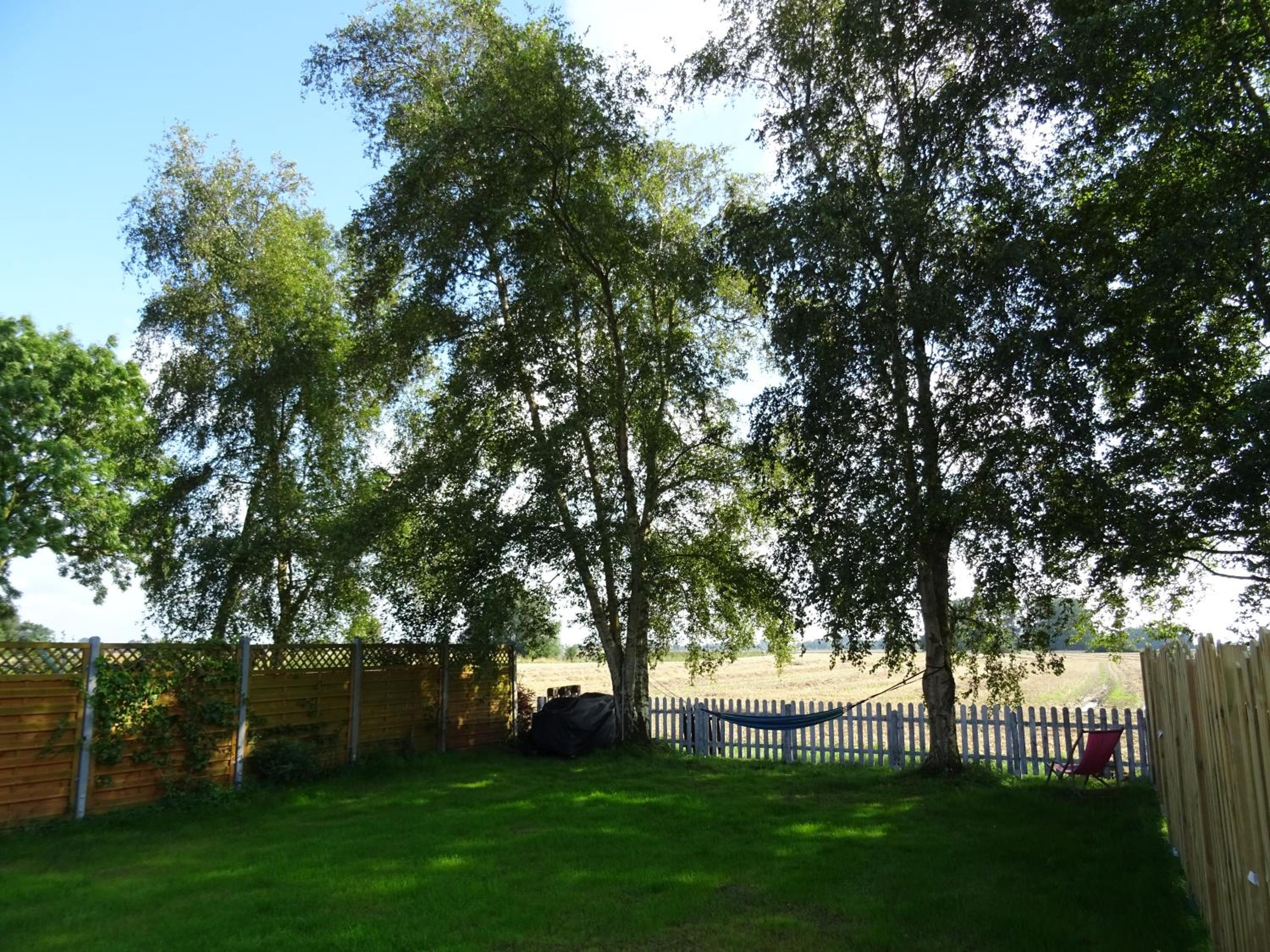 Photo 36