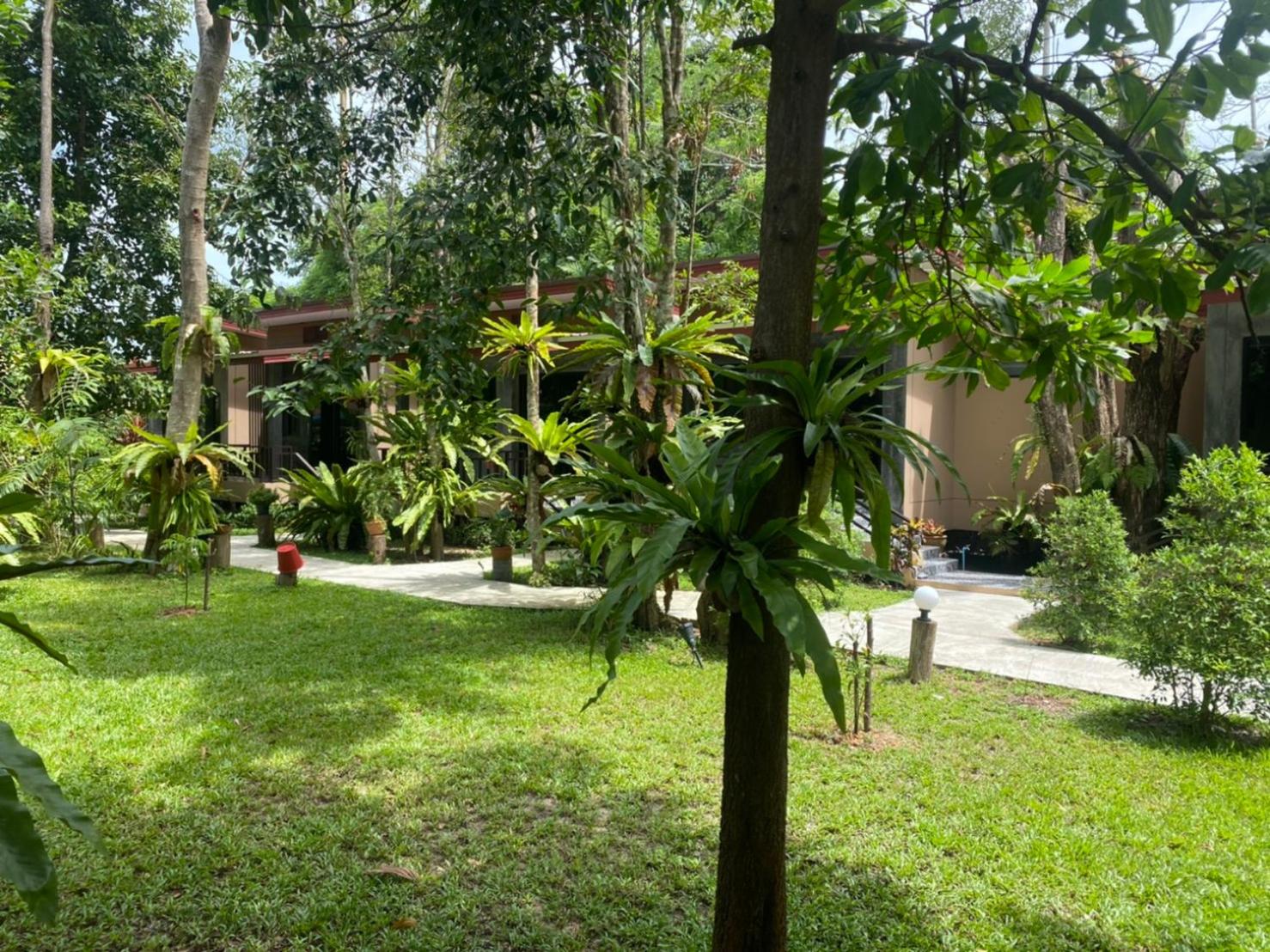 Photo 28