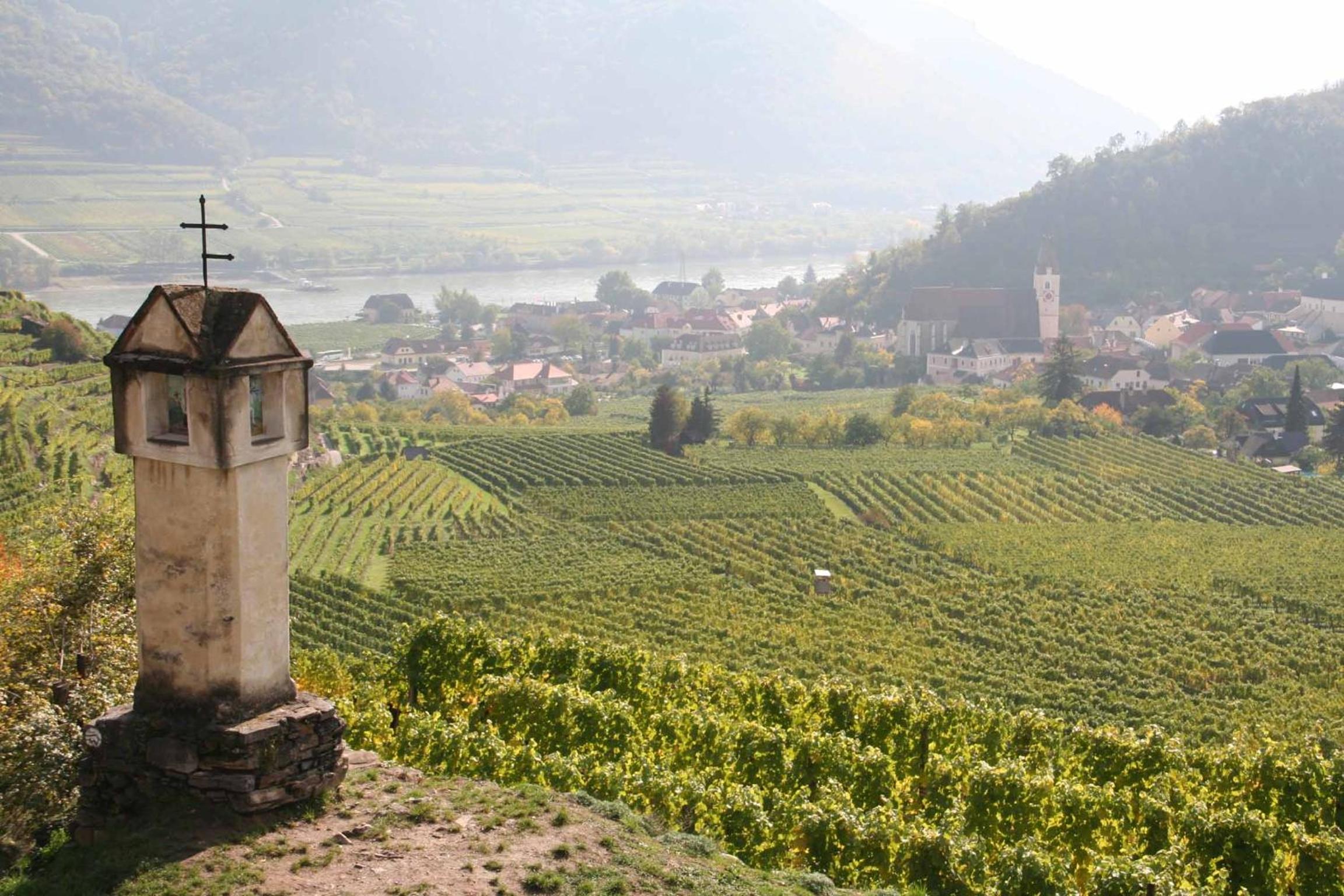 Hof Grünfelder view 4