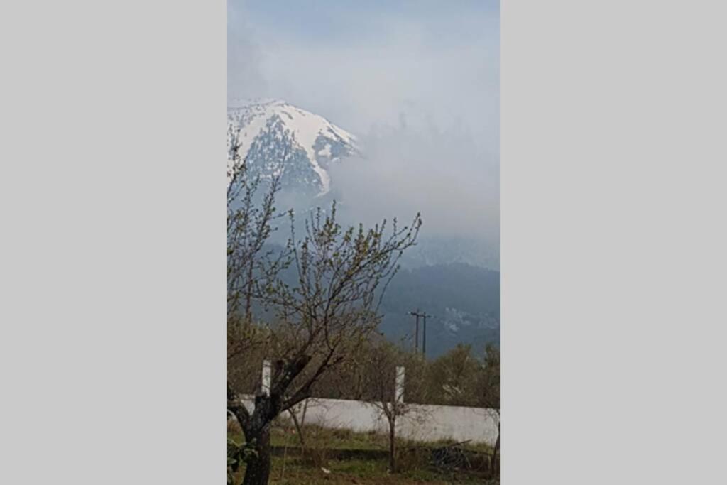 ΑΡΧΟΝΤΙΚΟ ΣΤΟΥΣ ΠΡΟΠΟΔΕΣ ΤΟΥ ΟΡΟΥΣ ΔΙΡΦΥΣ view 2